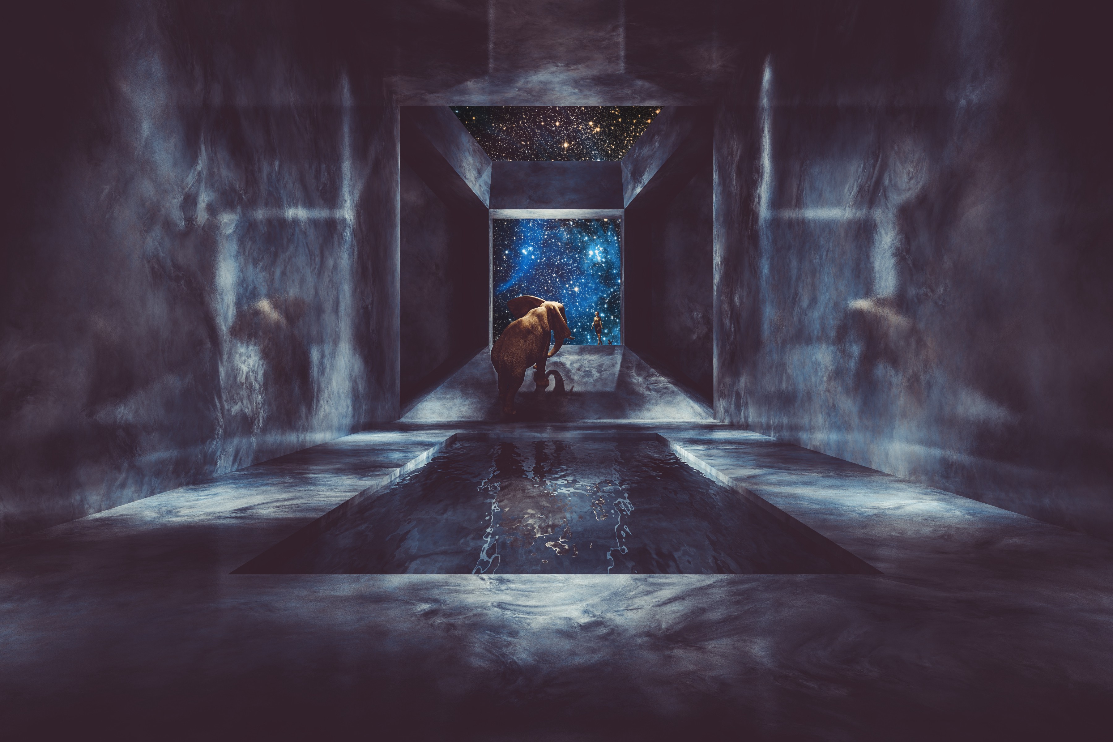 artwork, fantasy art, elephant, animals, stars, space, swimming pool, HD Wallpaper