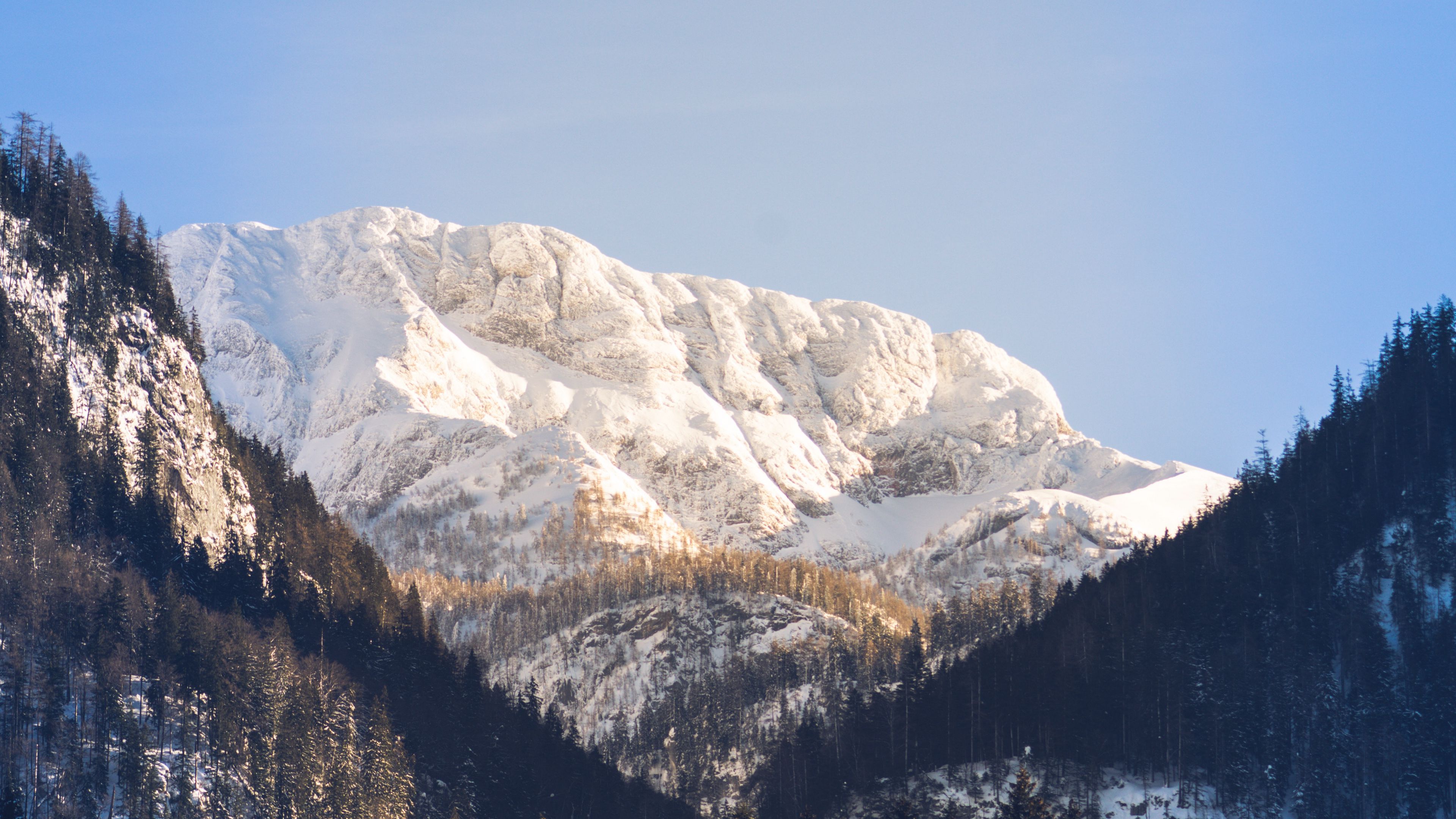 mountains, trees, snow, peak, sky, 4k, HD Wallpaper
