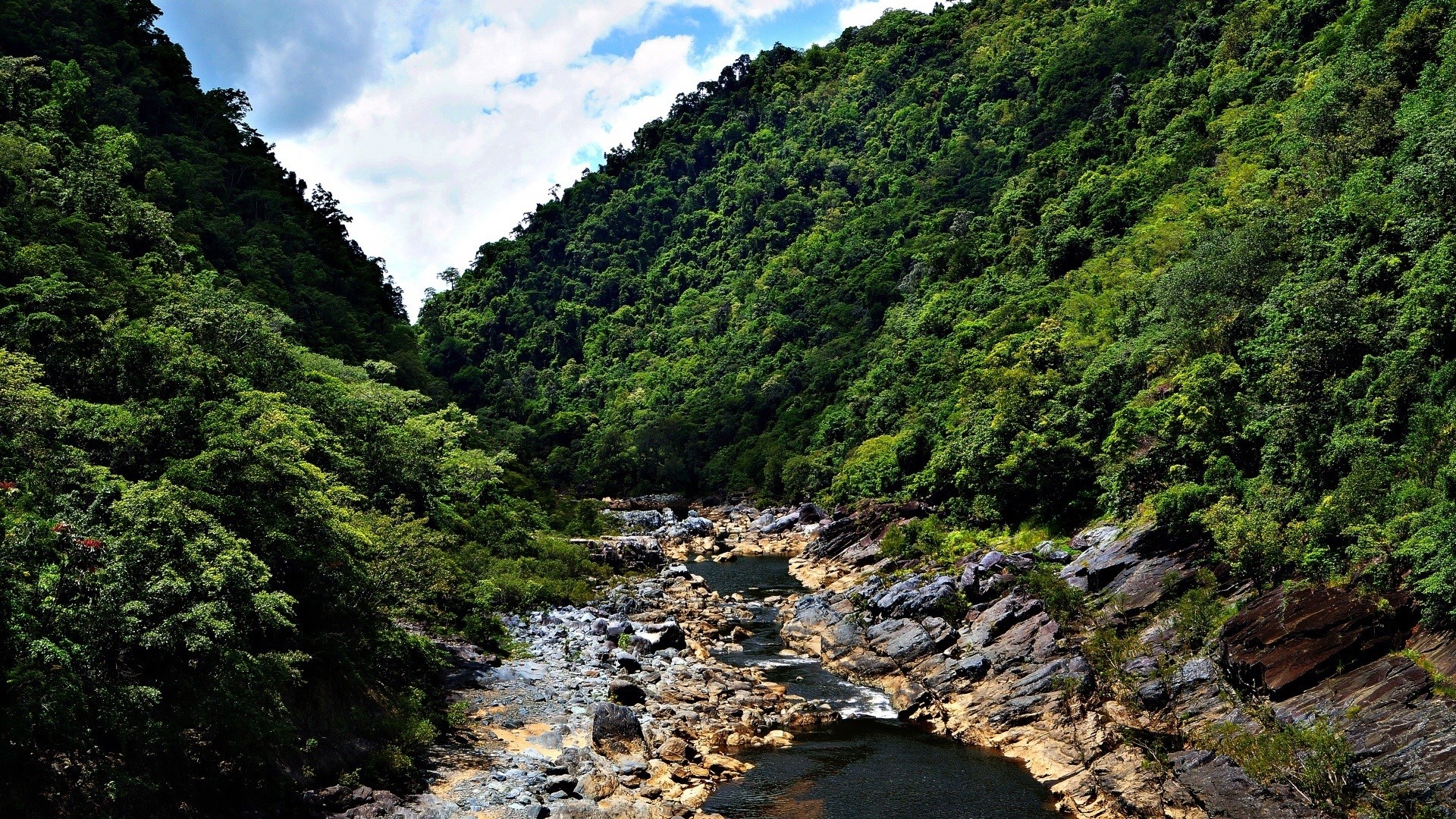 nature, river, forest, HD Wallpaper