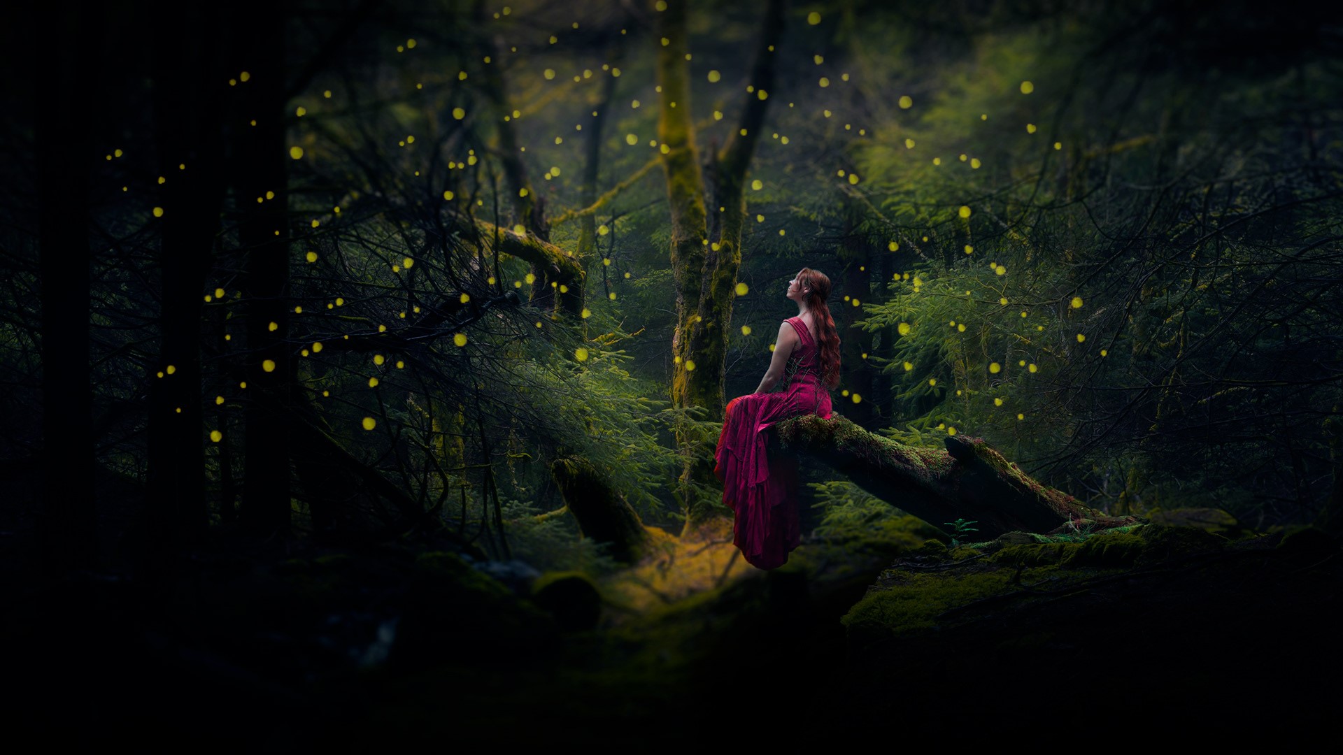 forest, edit, women, long hair, women outdoors, moss, trees, photo manipulation, HD Wallpaper