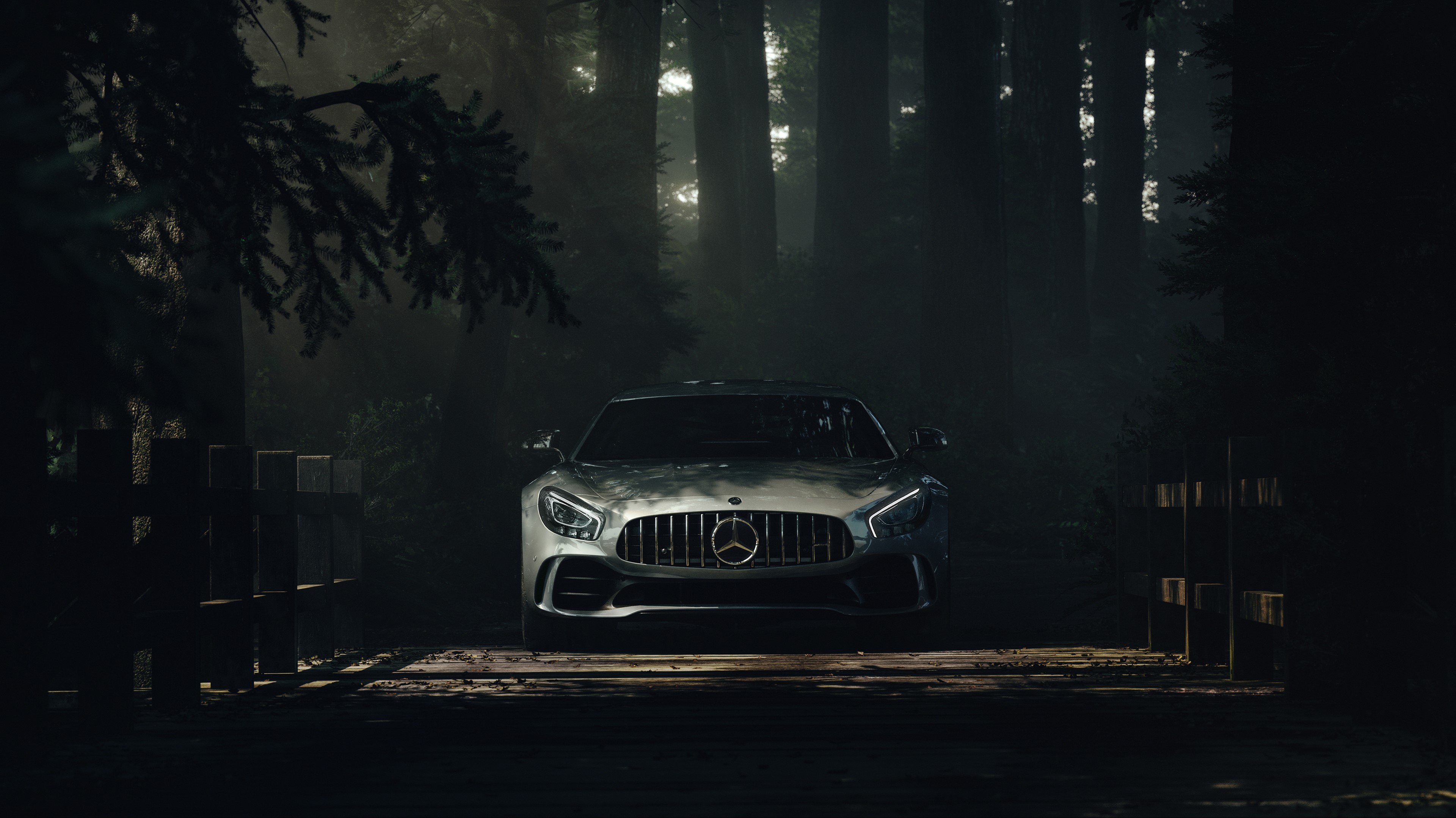 car, forest, shadow, Mercedes-AMG GT, HD Wallpaper
