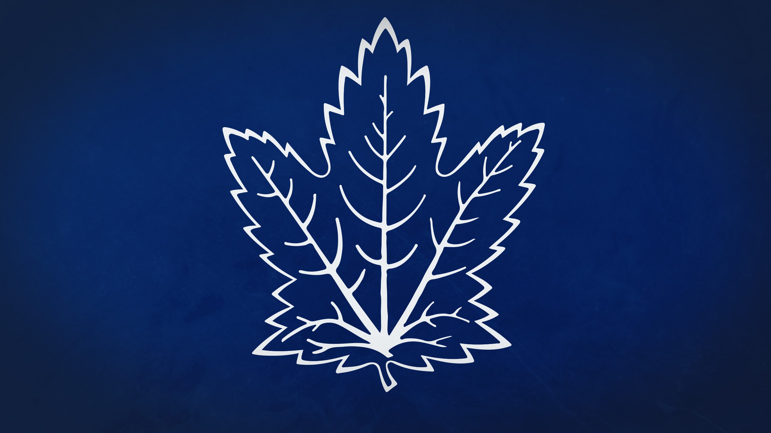 Hockey, Toronto, Maple leafs, Canada, NHL, HD Wallpaper