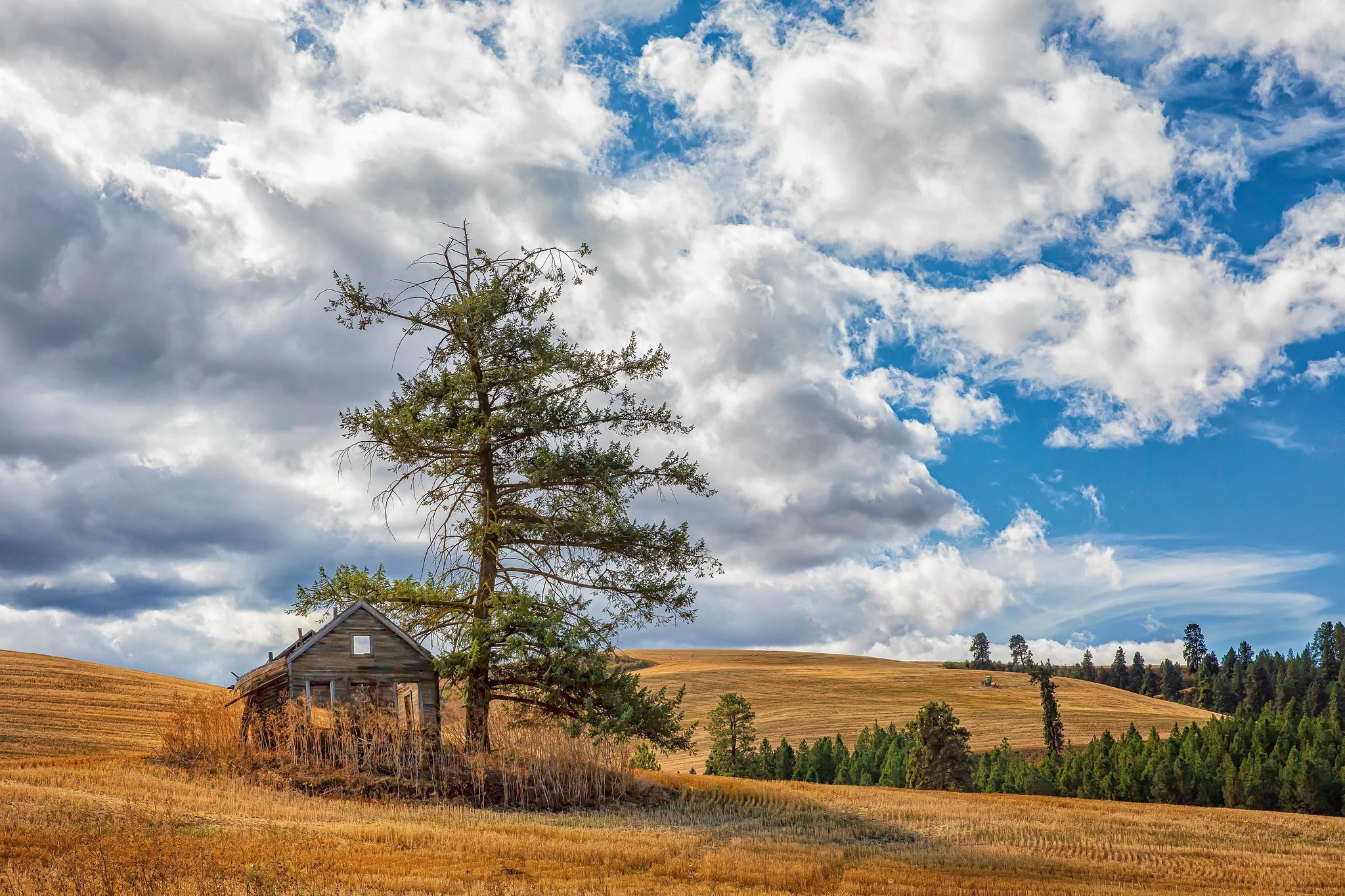 Idaho, USA, landscape, trees, sky, ruin, clouds, cabin, HD Wallpaper