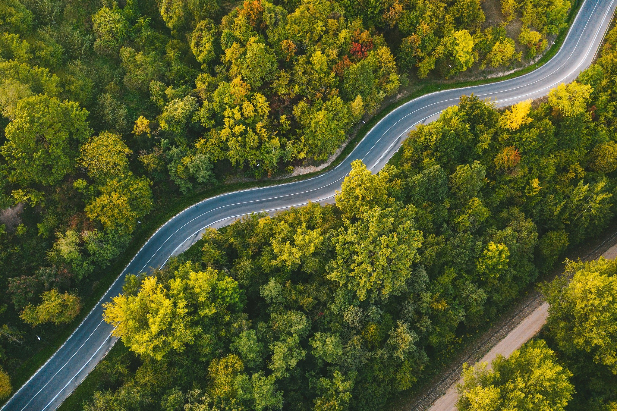 aerial view, trees, road, HD Wallpaper