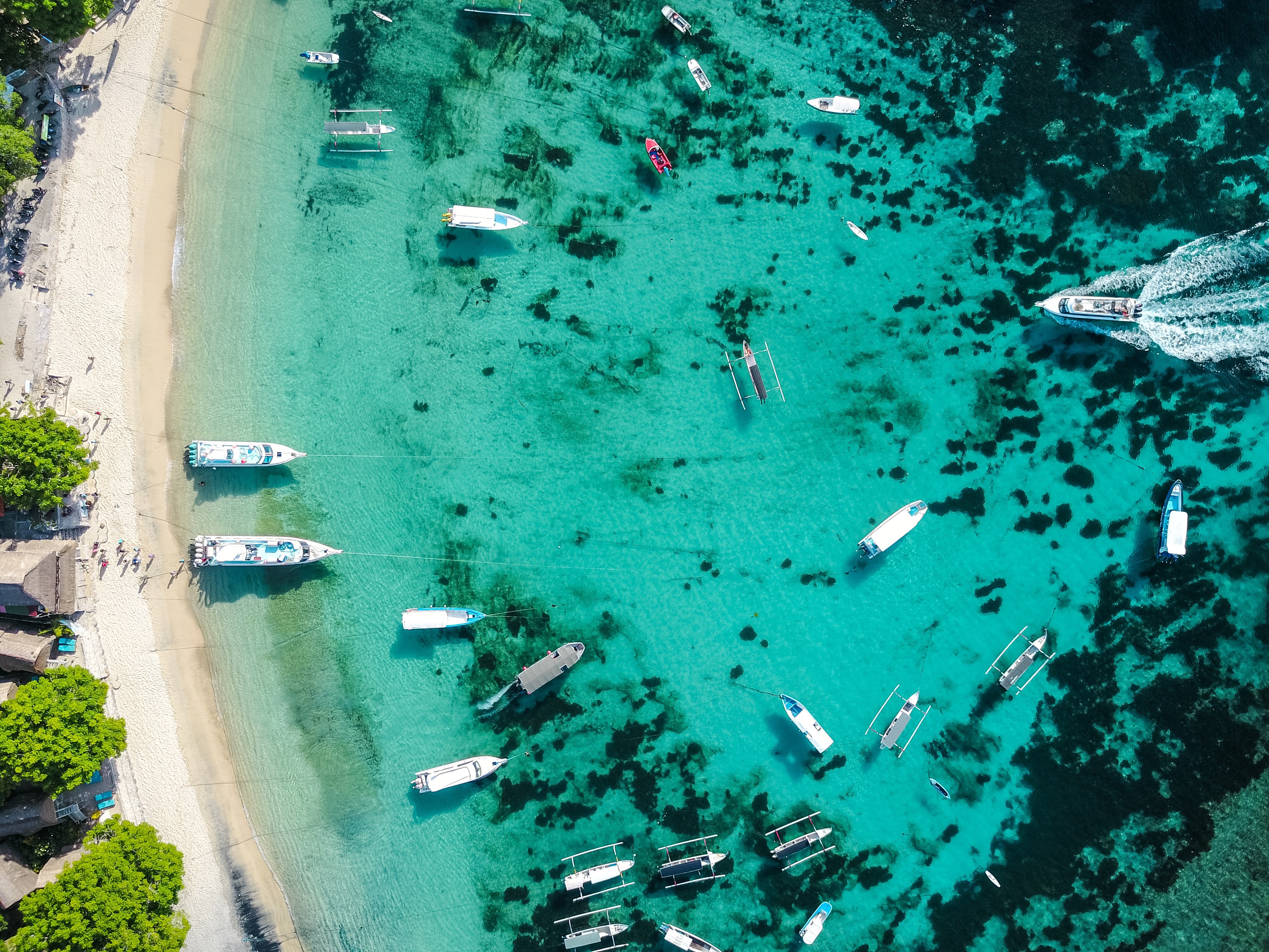 nature, boat, beach, trees, sea, aerial view, HD Wallpaper