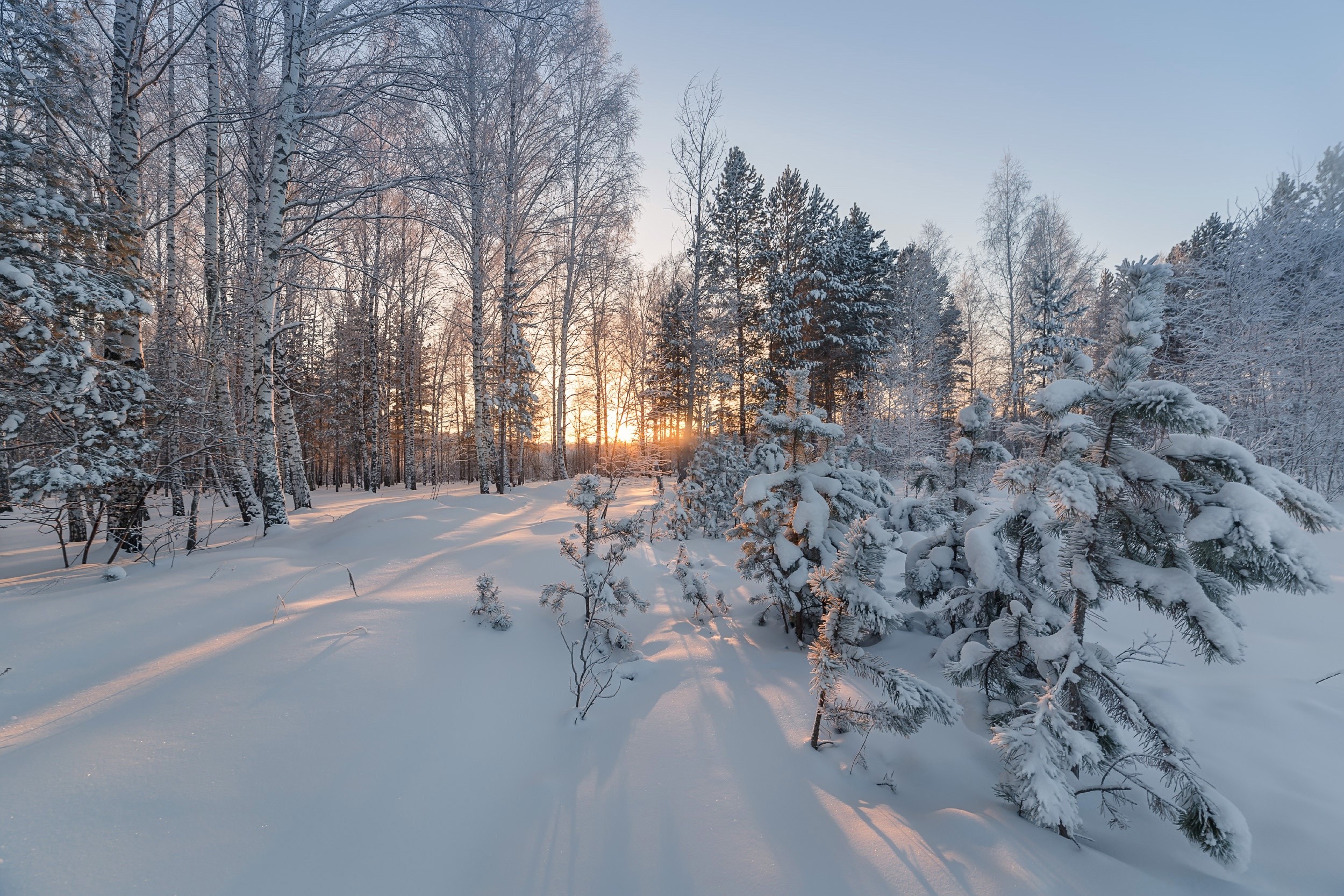 winter, snow, landscape, trees, nature, HD Wallpaper