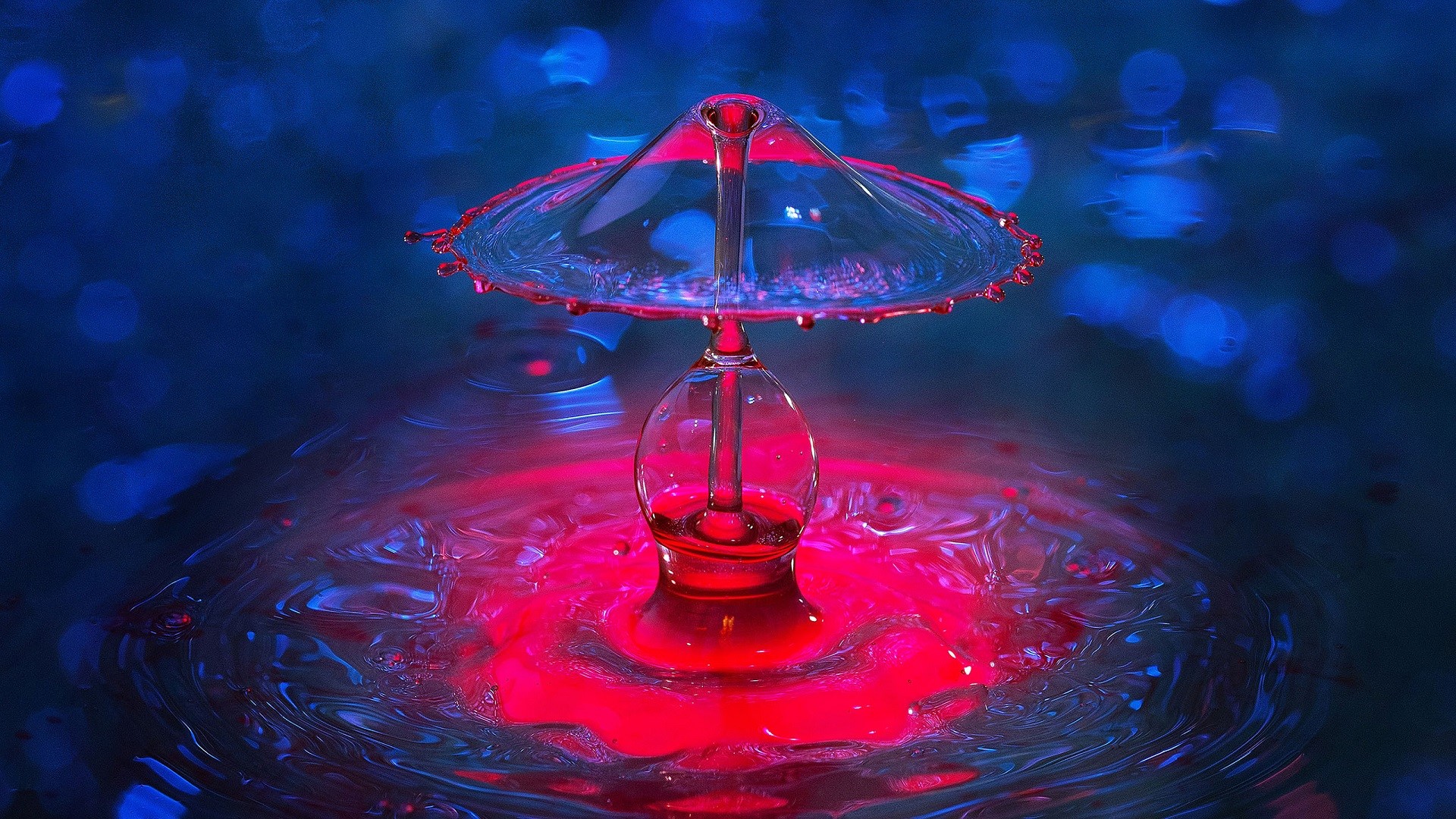 water, water drops, closeup, macro, HD Wallpaper