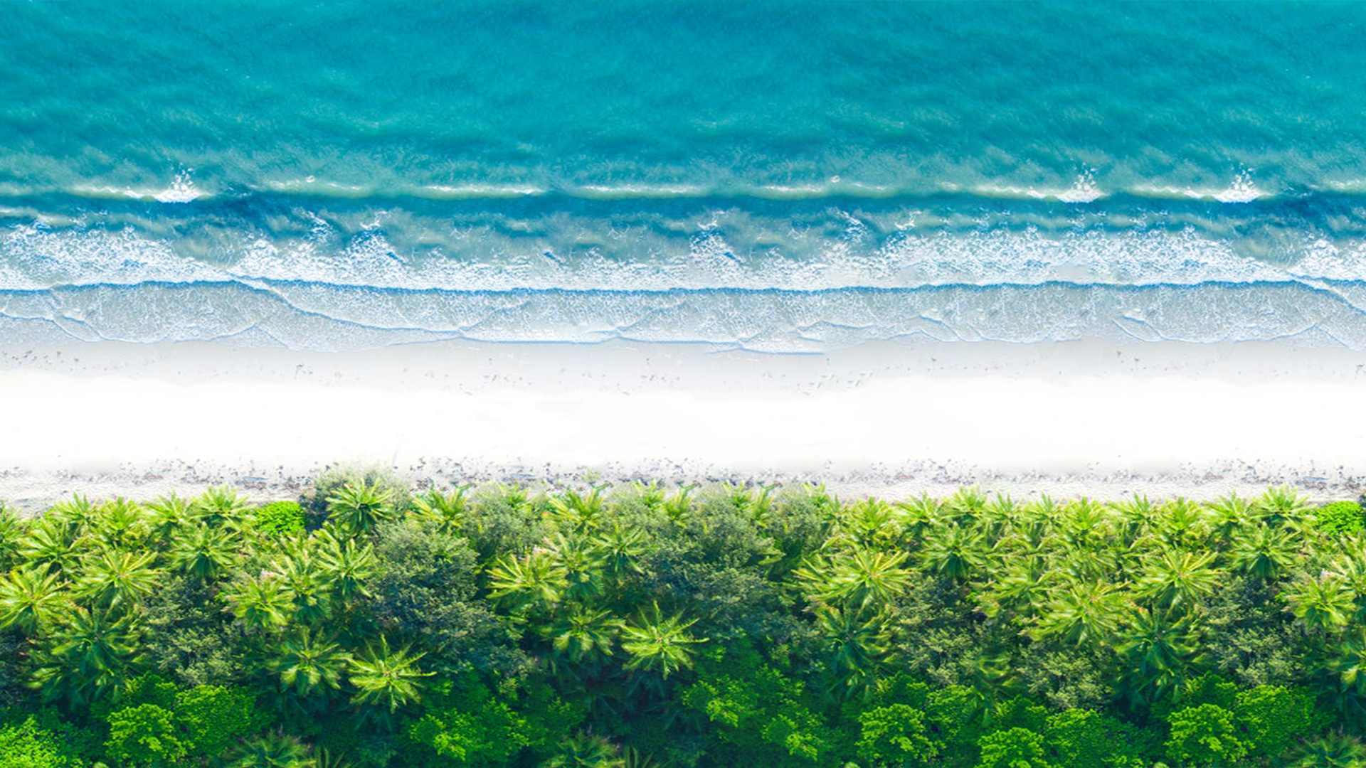 beach, aerial view, water, trees, HD Wallpaper