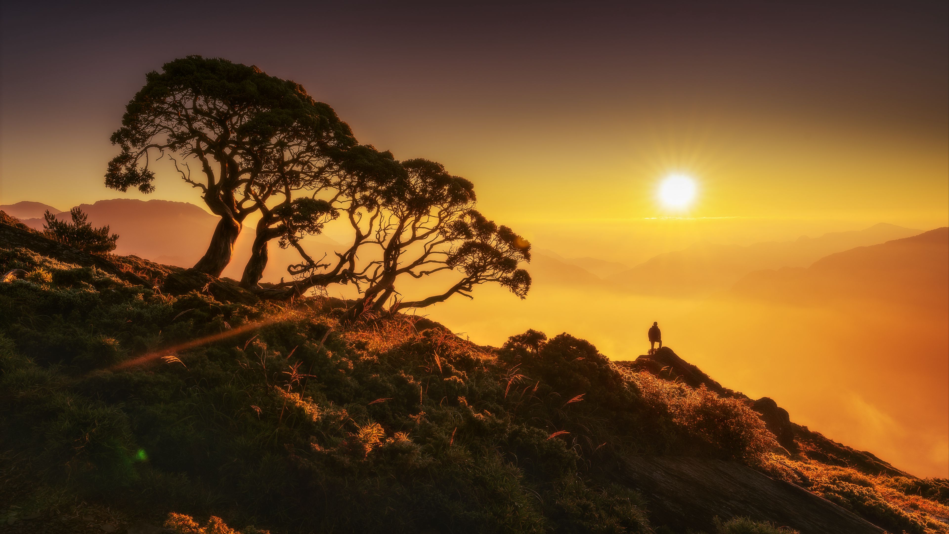 sun, silhouette, hill, 4k, HD Wallpaper