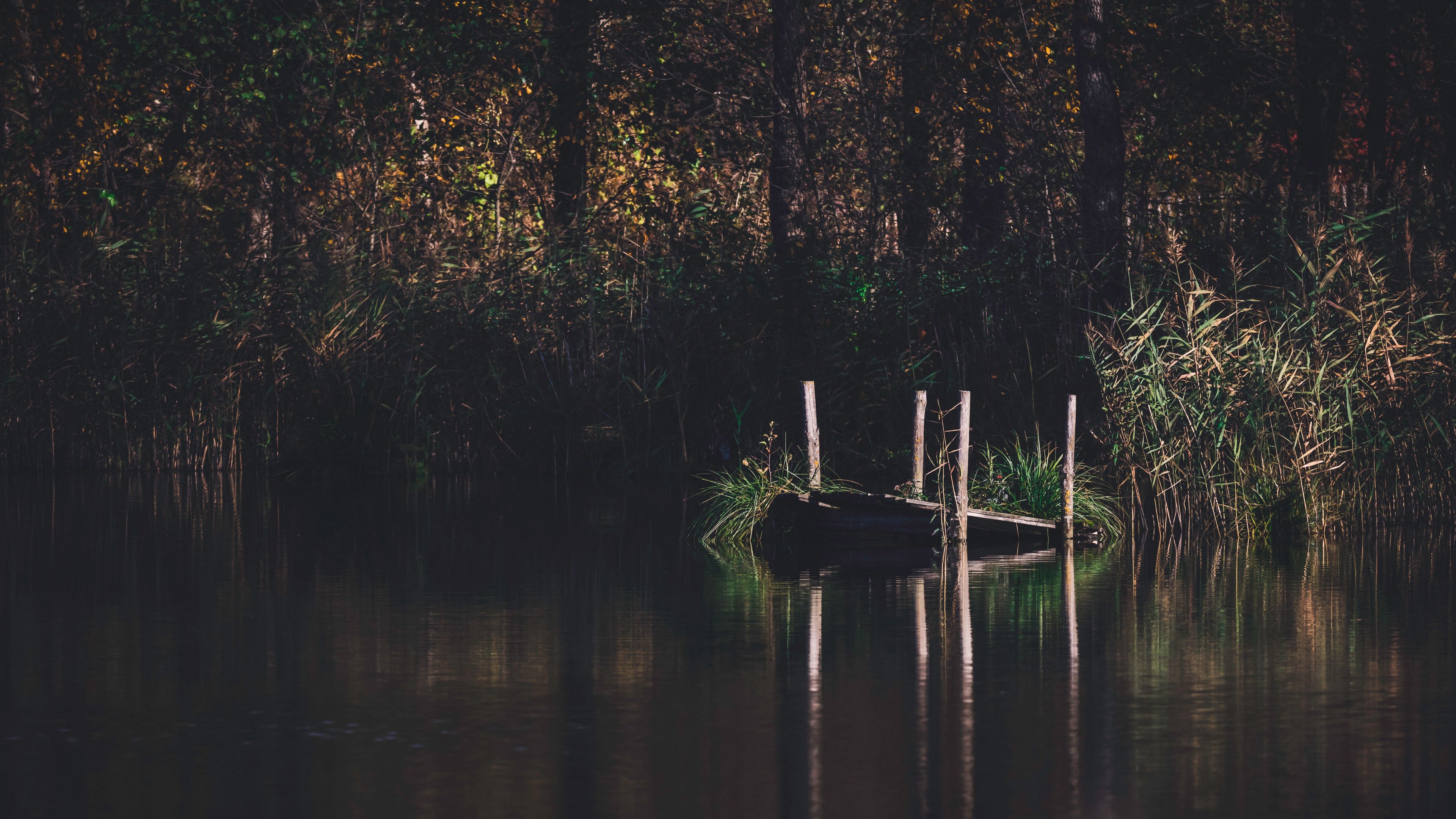 pier, river, trees, grass, forest, 4k, HD Wallpaper