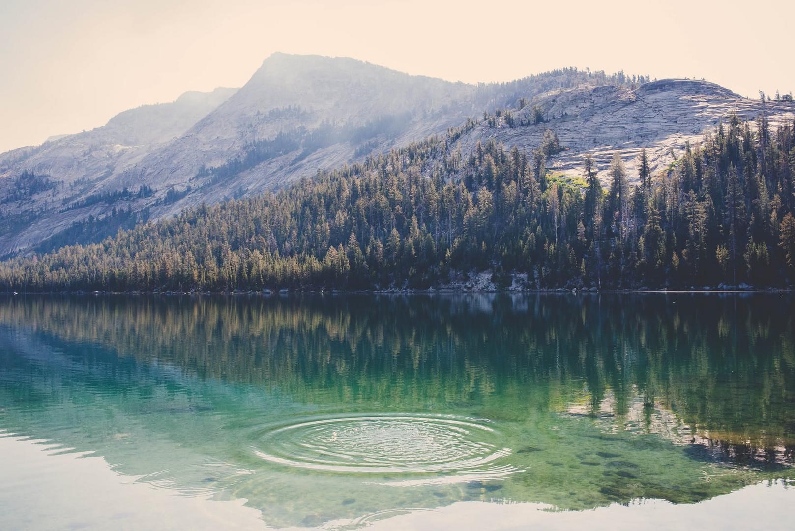 nature, lake, river, landscape, HD Wallpaper