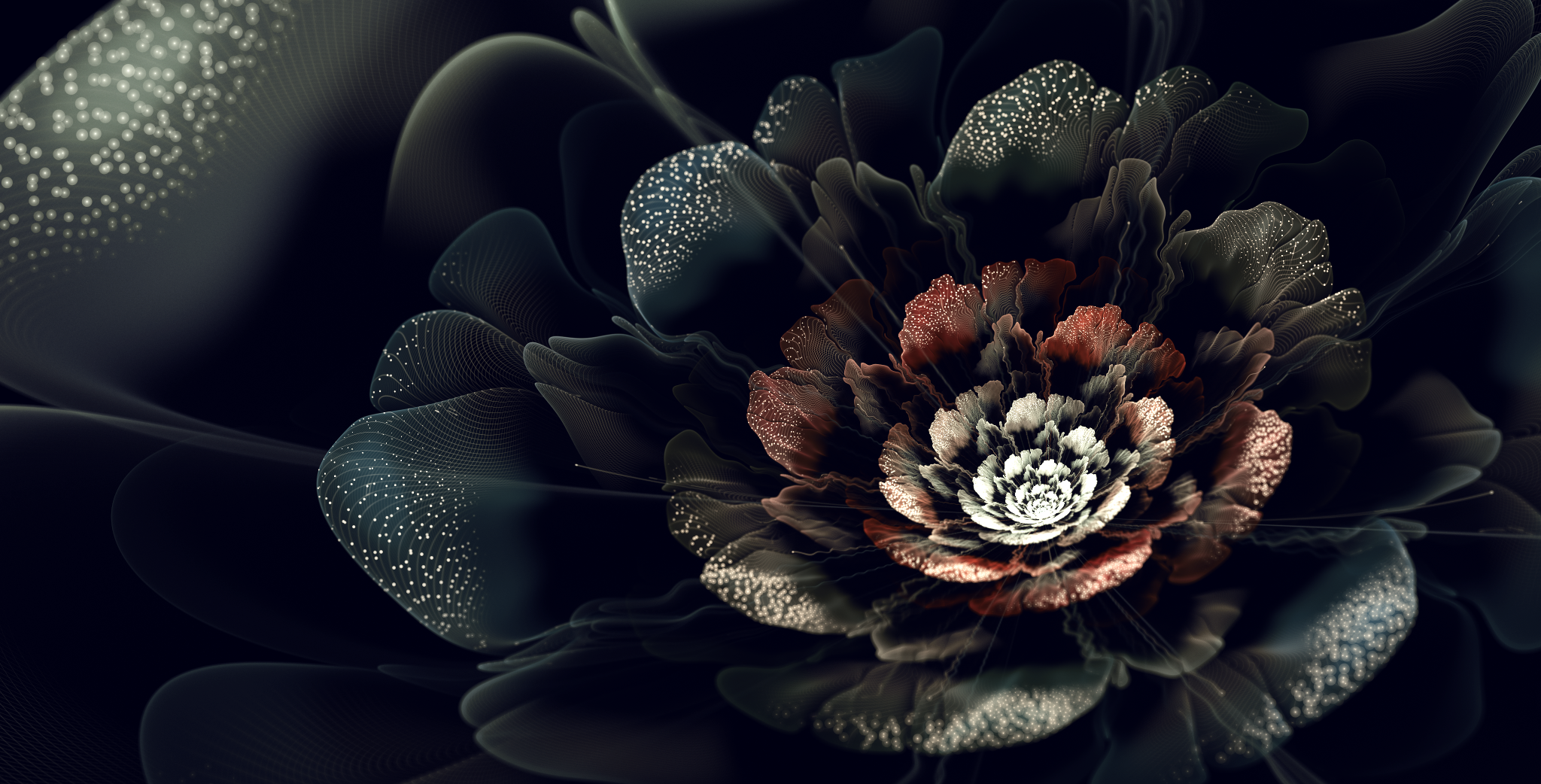 fractal, fractal flowers, 3D fractal, HD Wallpaper