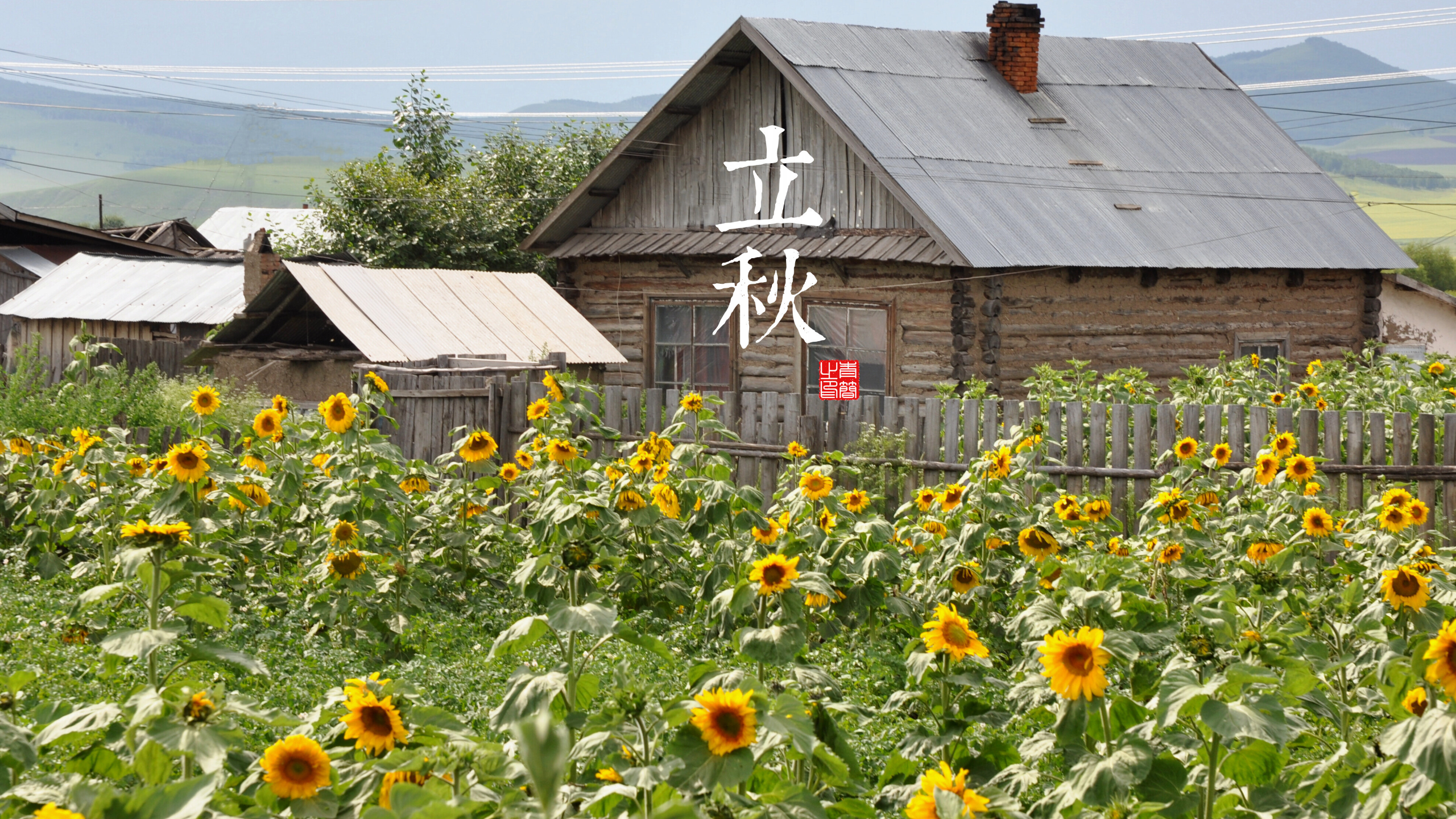 solar terms, seasons, flowers, house, mountains, HD Wallpaper