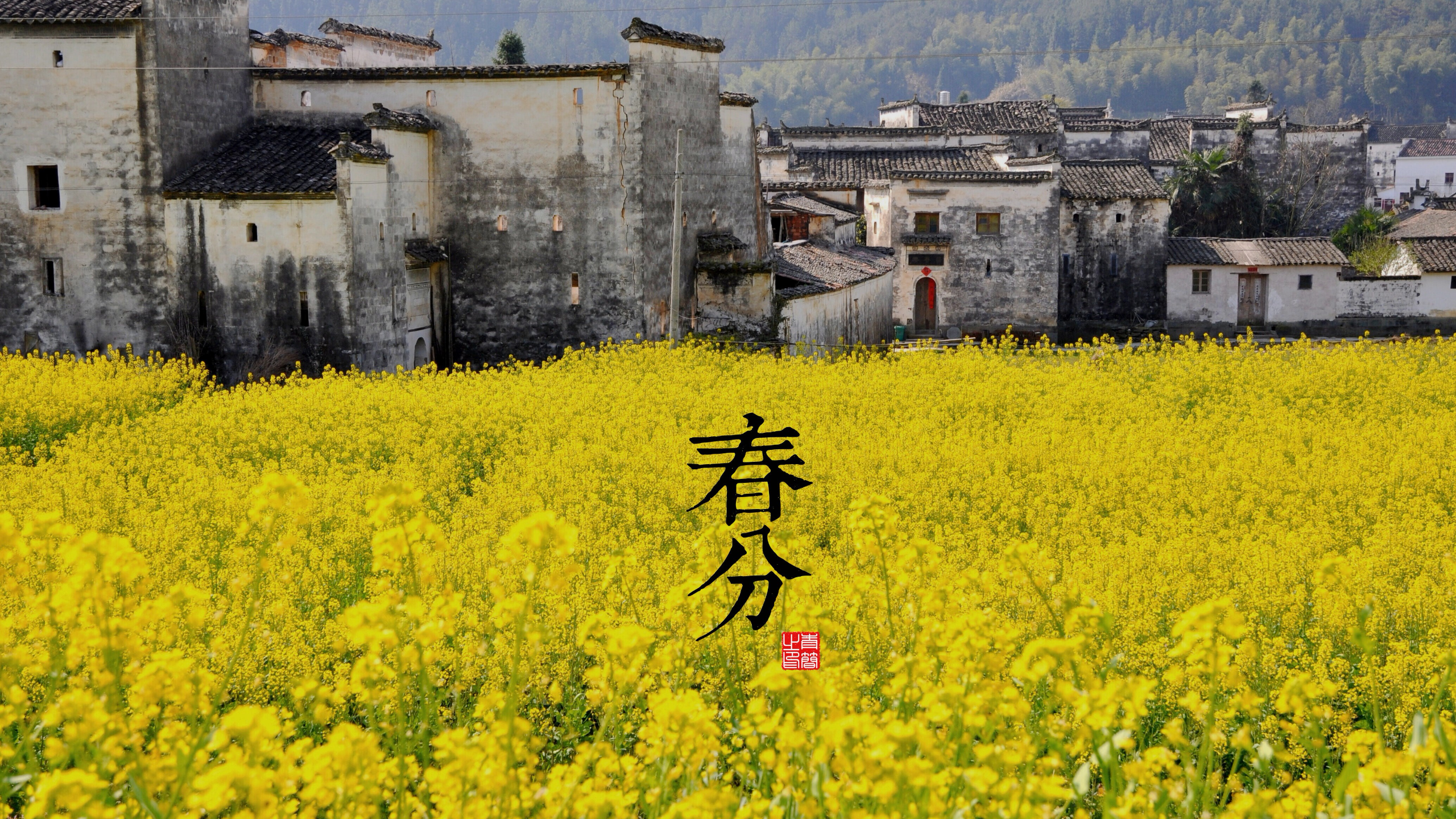 solar terms, seasons, Spring Equinox (Chun Fen), 4th Solar Term, March 20-22, HD Wallpaper