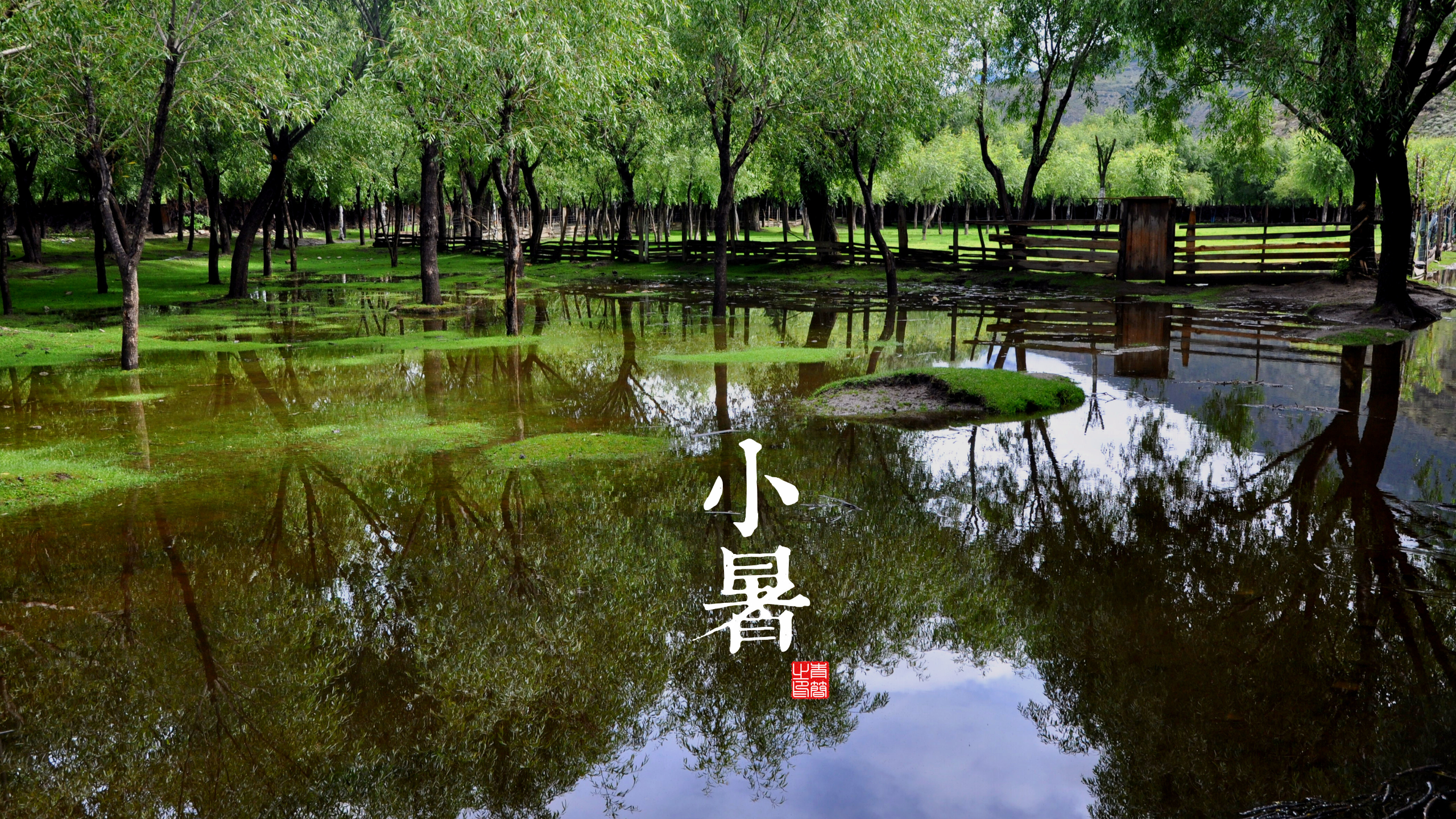 solar terms, seasons, Slight Heat (Xiao Shu), 11th Solar Term, July 7 or 8, HD Wallpaper