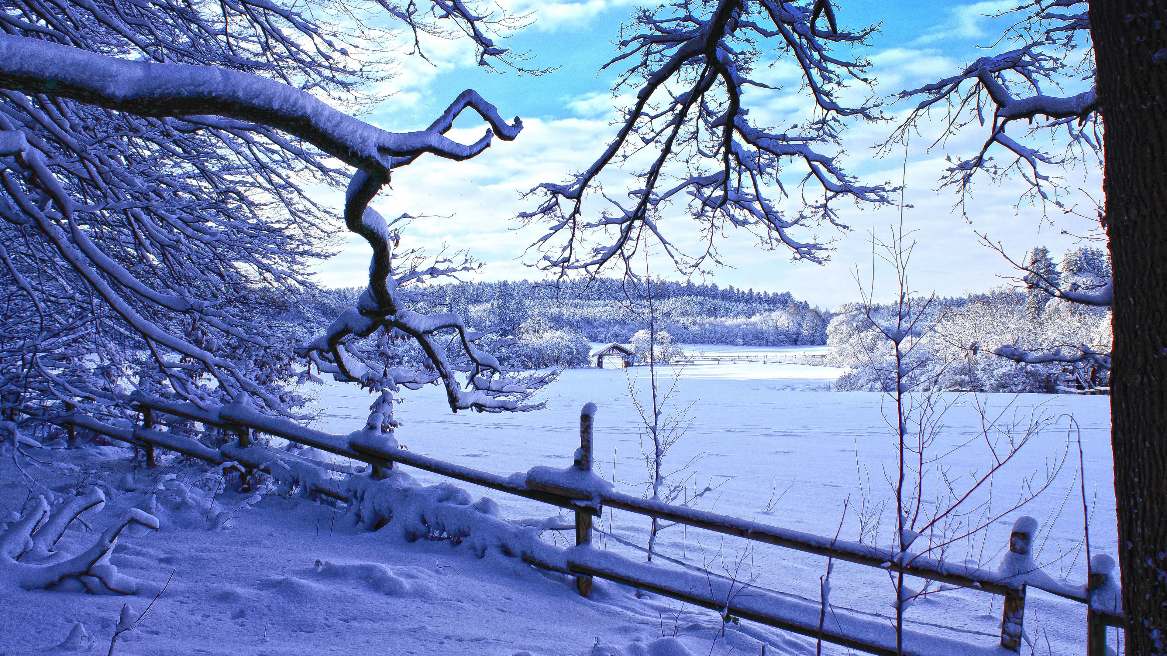 winter, snow, branches, fence, winter landscape, 4k, HD Wallpaper