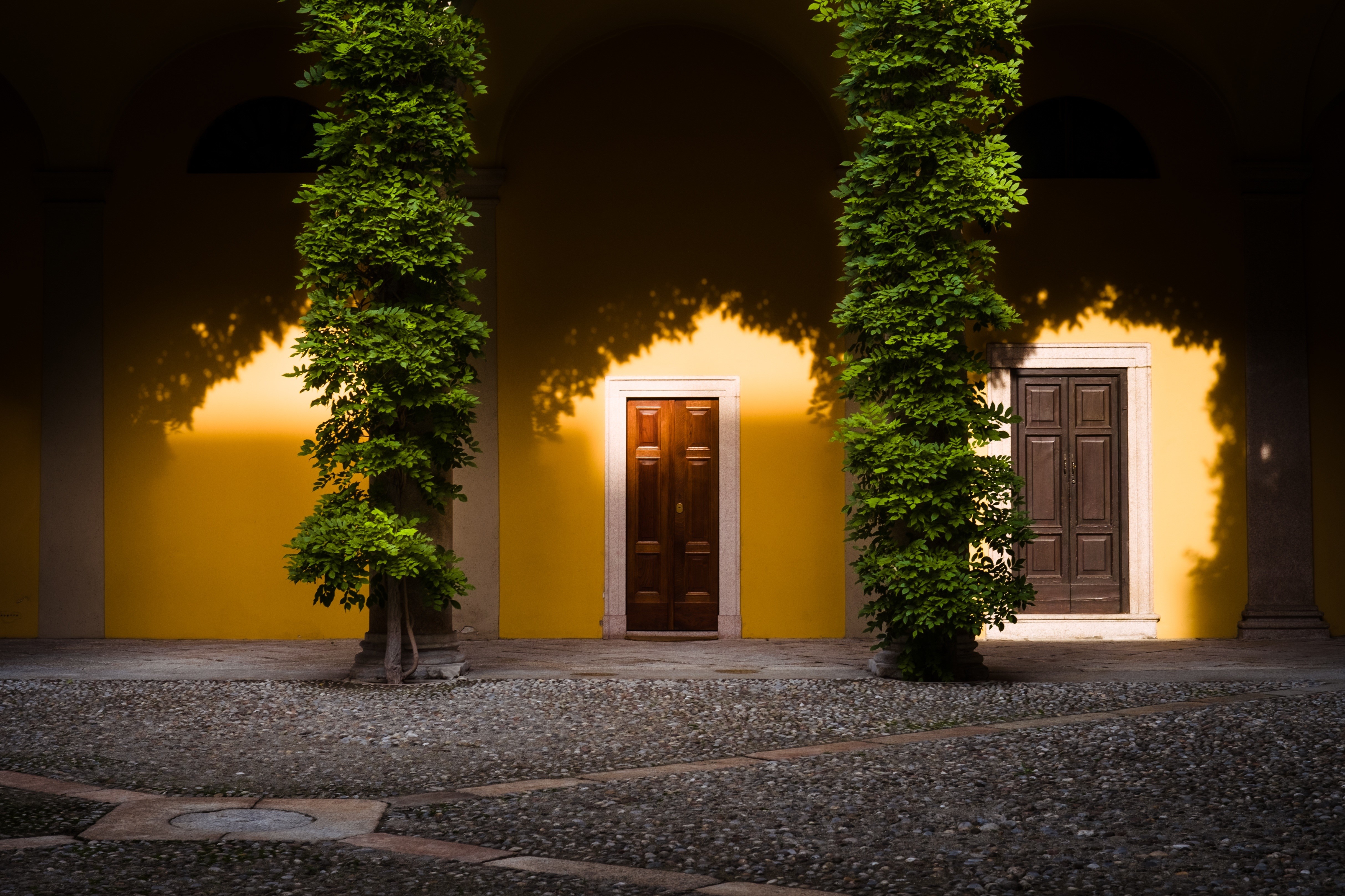 door, tree stump, plants, building, HD Wallpaper