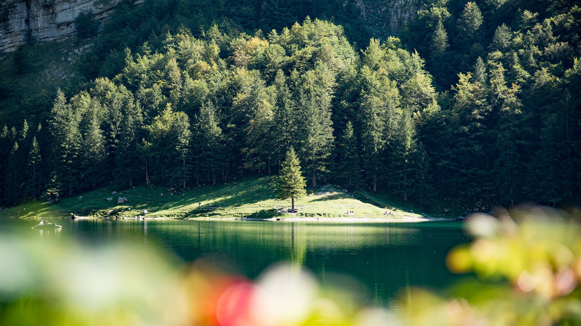 water, trees, nature, people, rowing, HD Wallpaper