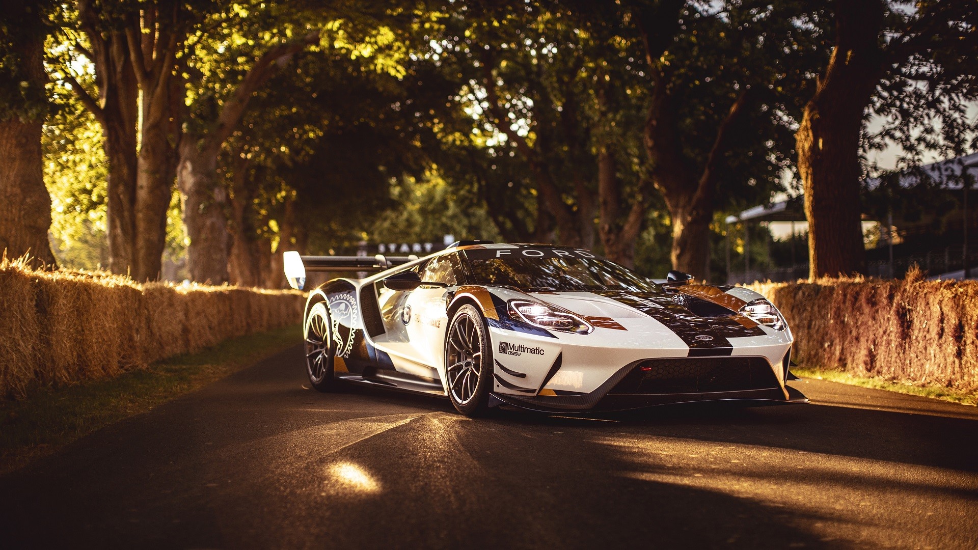 Ford, Ford GT, Ford GT Mk II, car, trees, road, HD Wallpaper