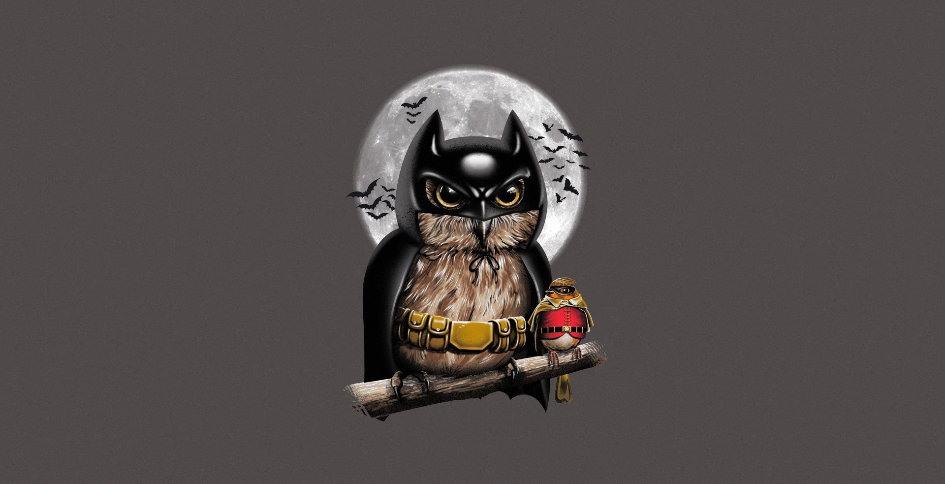 minimalism, owl, animals, birds, Batman, Robin (character), HD Wallpaper