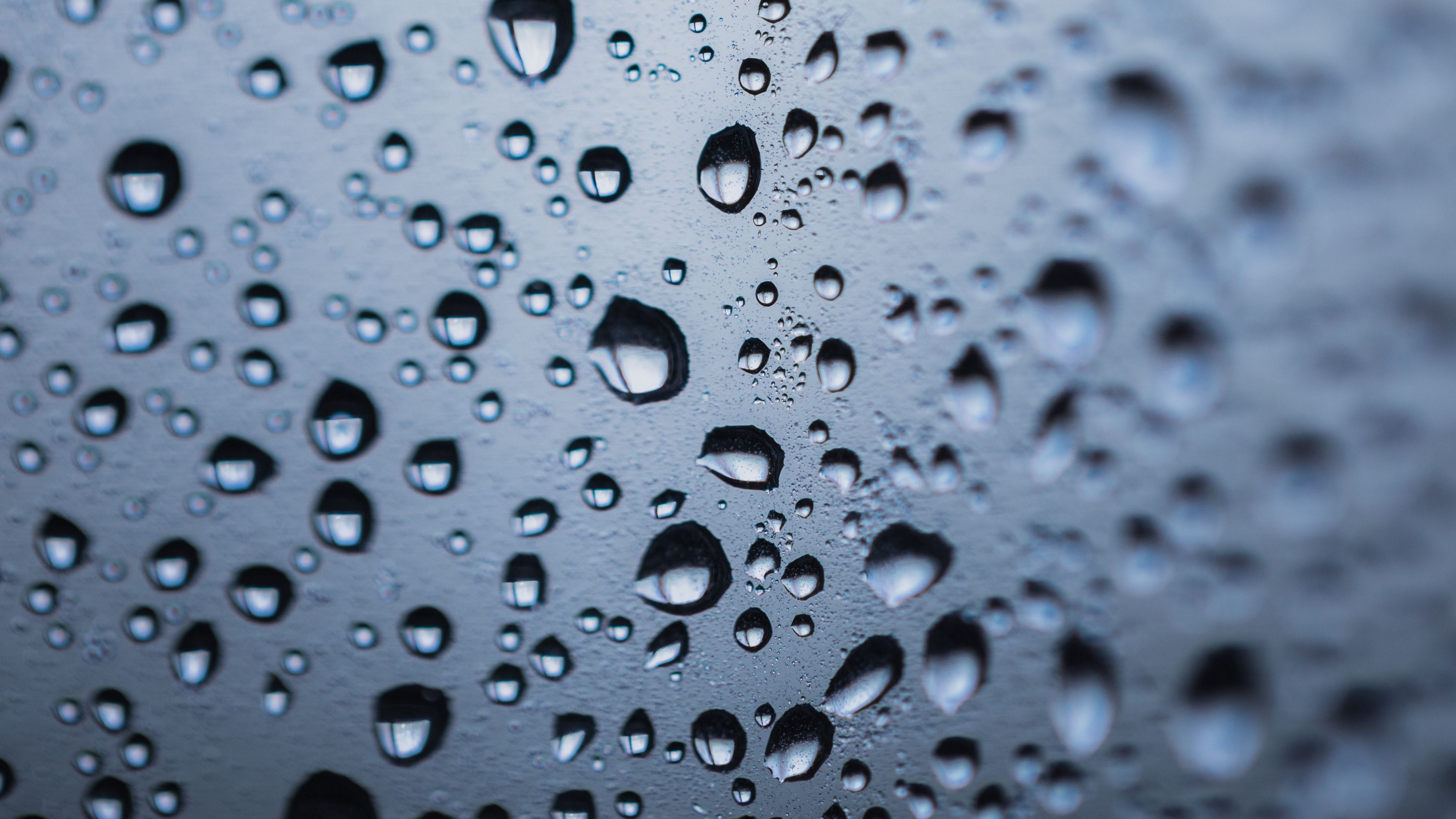 drops, moisture, blur, macro, liquid, 4k, HD Wallpaper