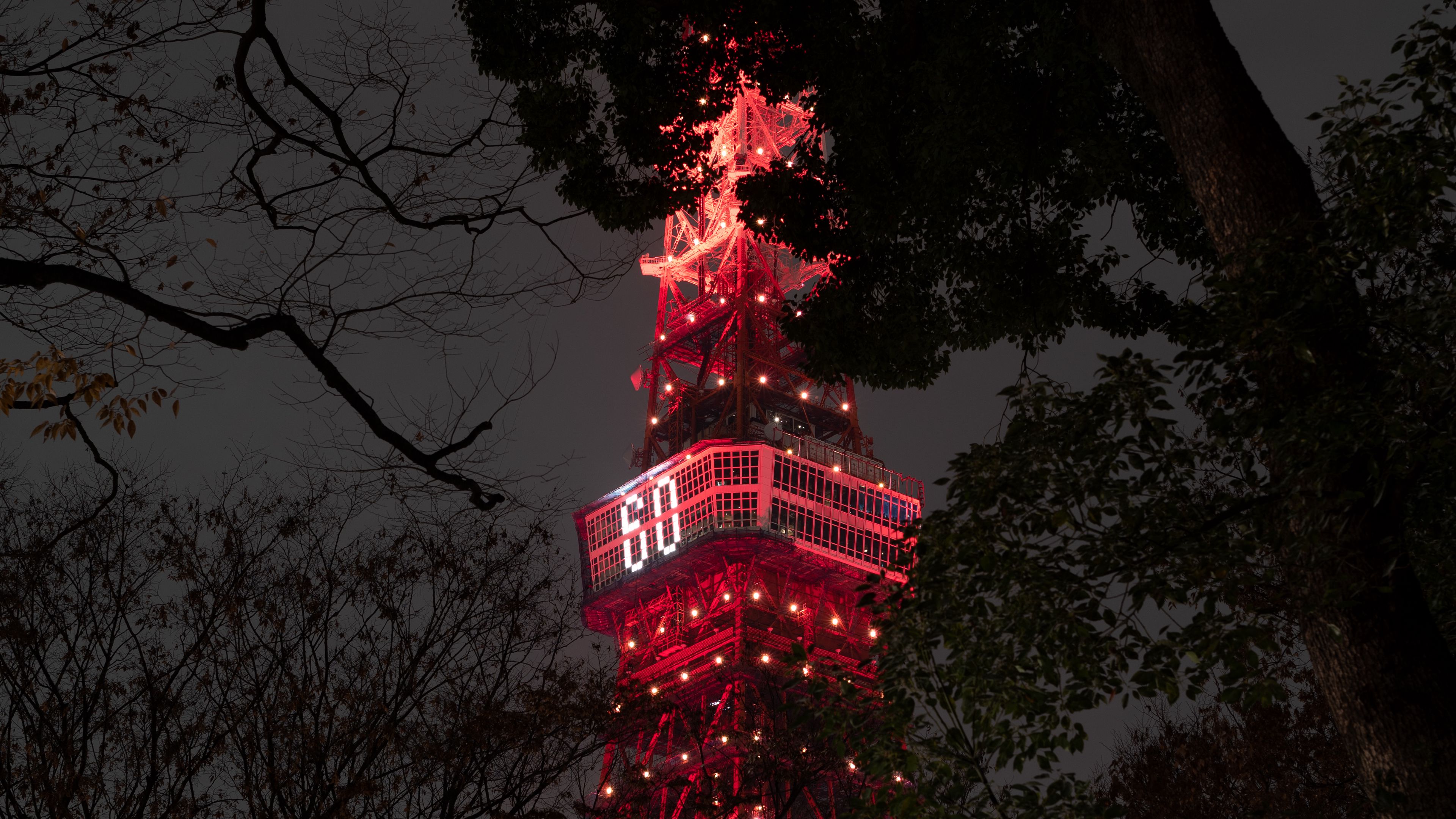tower, backlight, night, branches, tokyo, japan, 4k, HD Wallpaper