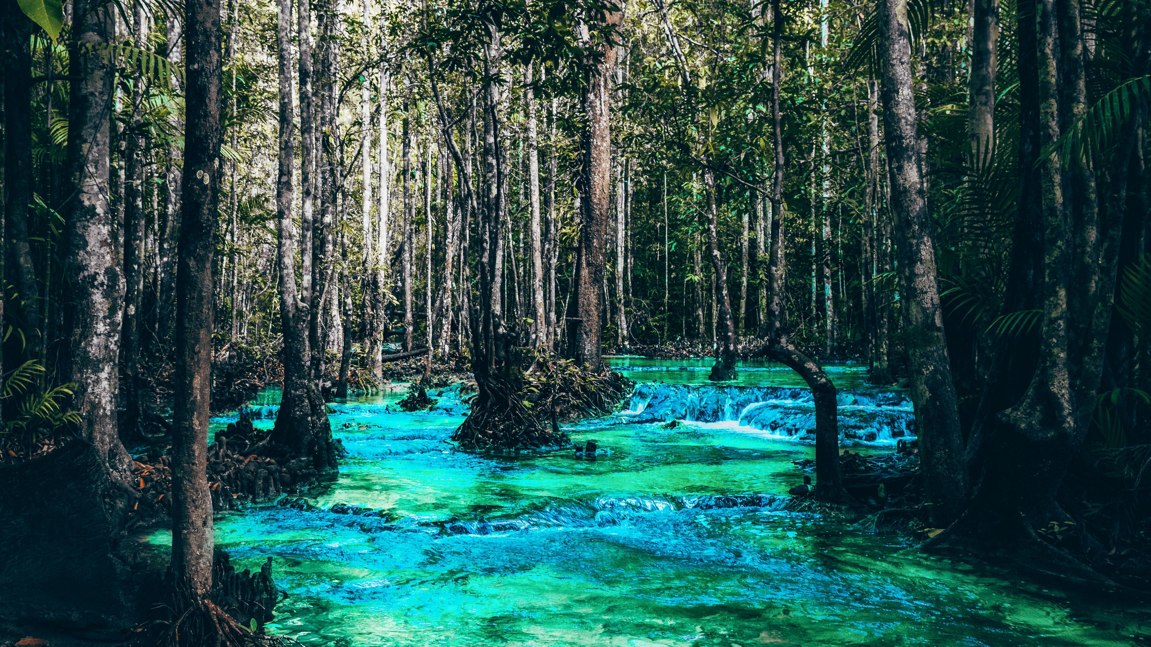 river, trees, flow, branches, 4k, HD Wallpaper