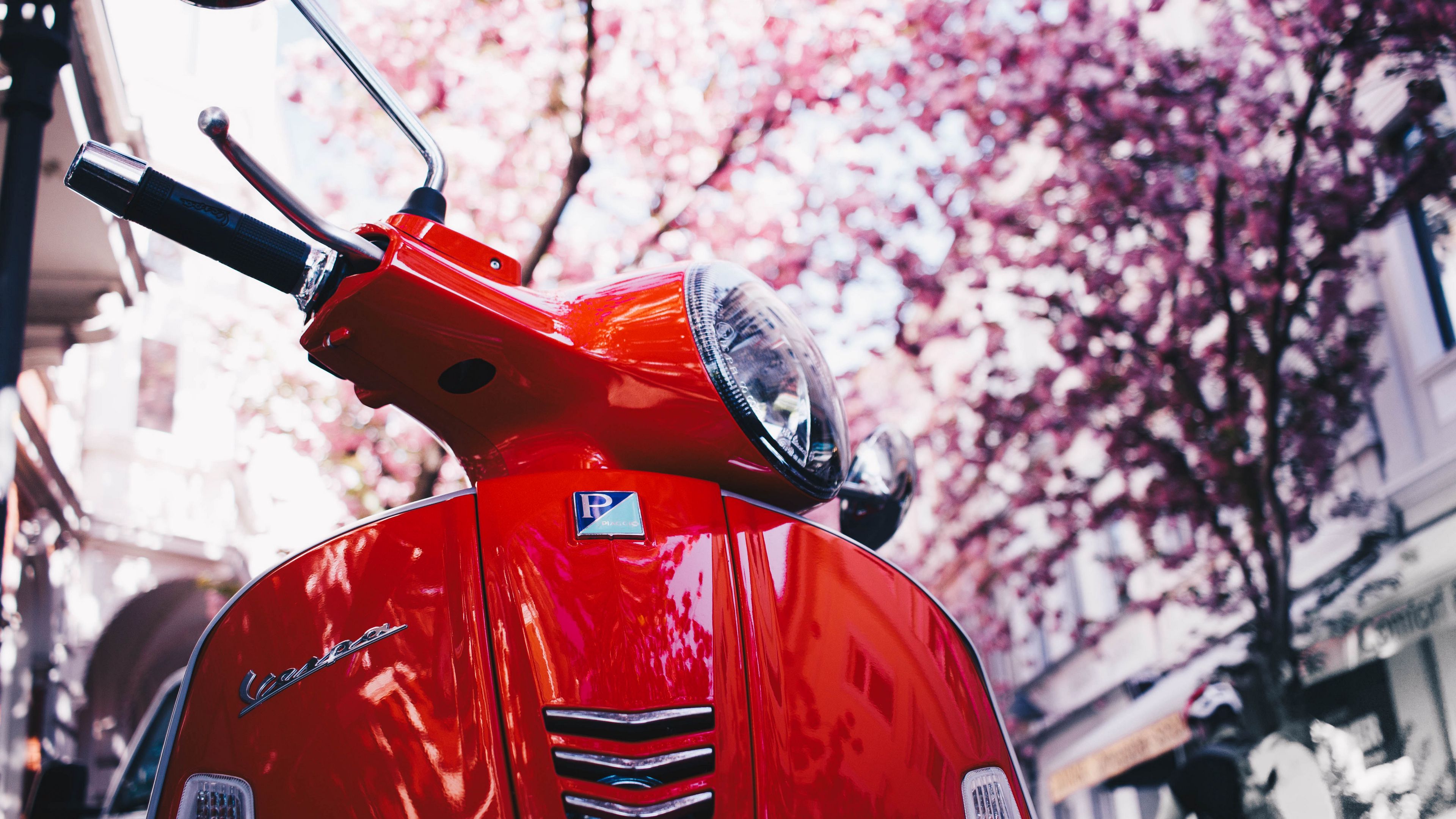 vespa, scooter, red, sakura, 4k, HD Wallpaper