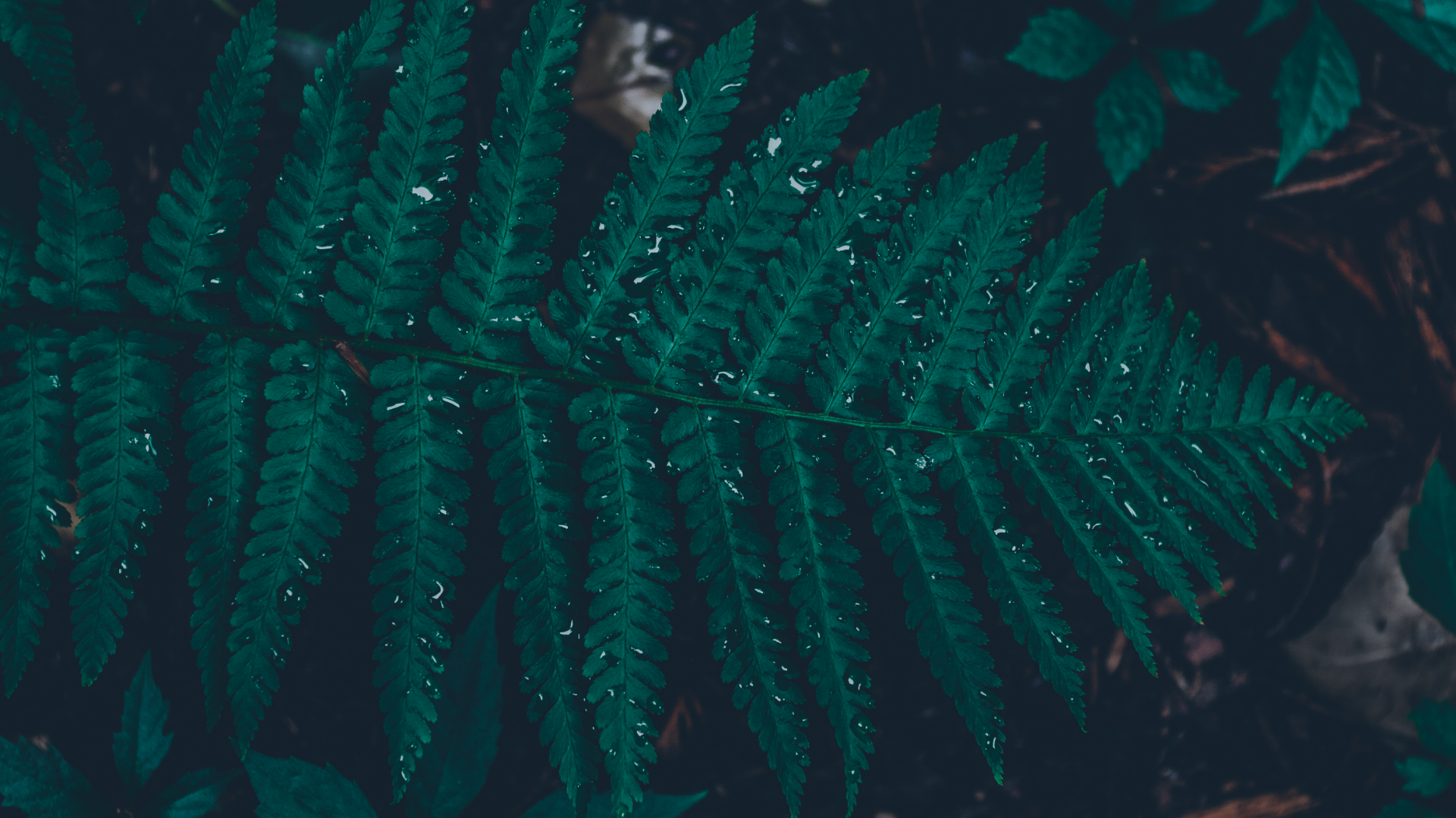 emotion, dark, rain, storm, HD Wallpaper