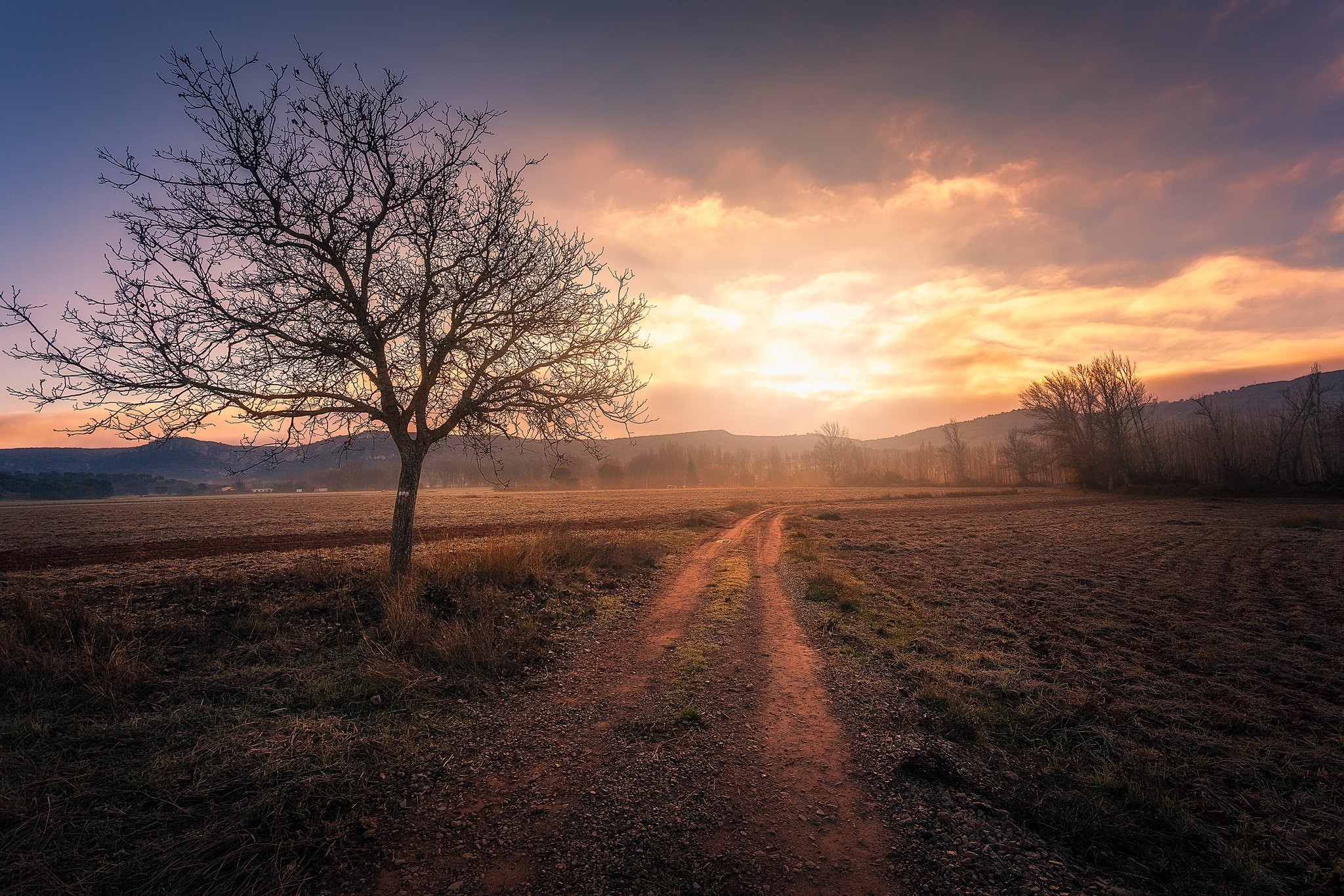 outdoors, sky, dirtroad, sunlight, nature, Golden Hour, HD Wallpaper