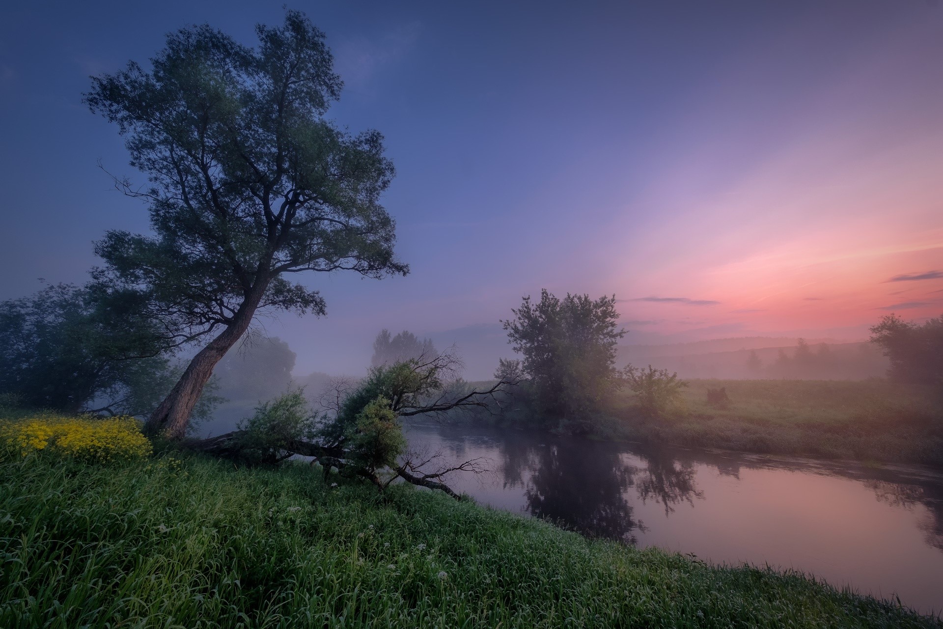 river, nature, outdoors, landscape, trees, HD Wallpaper