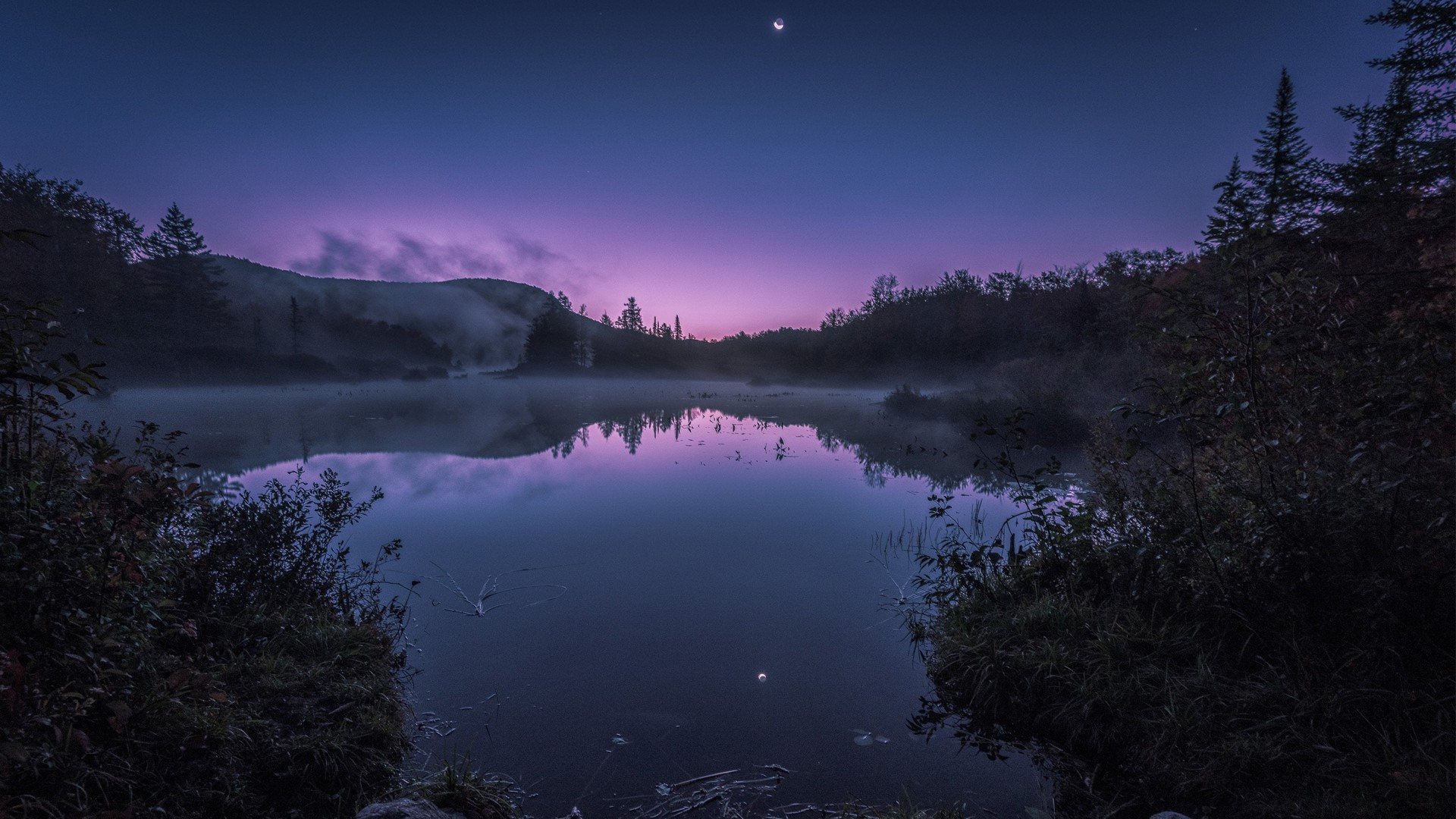 lake, mist, sky, night, nature, river, water, trees, moonlight, Moon, HD Wallpaper