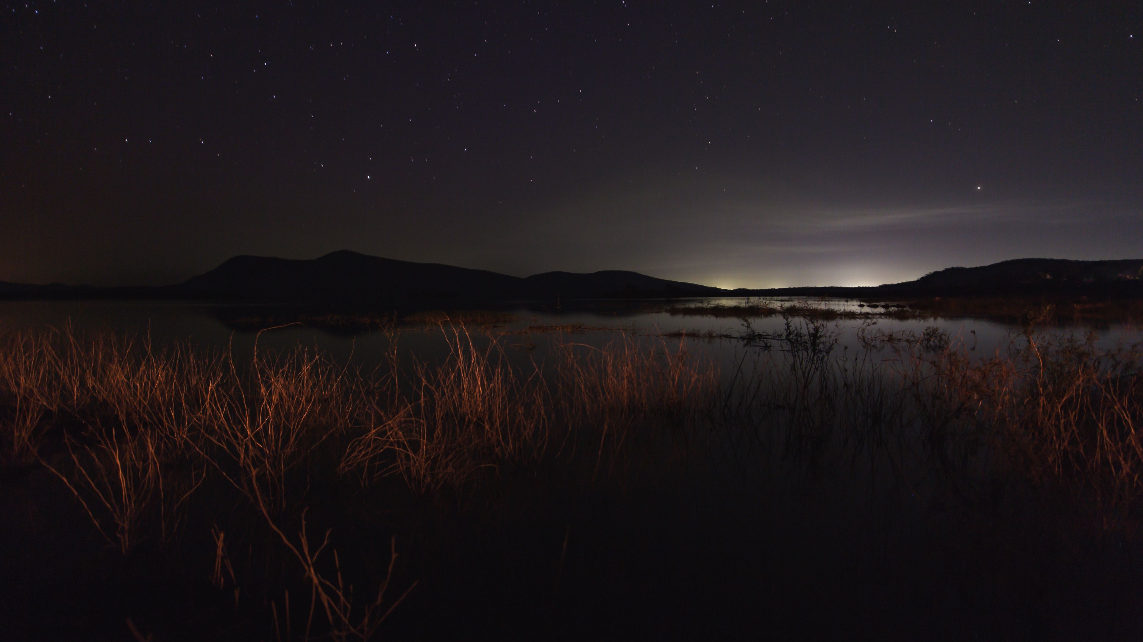 lake, night, starry sky, grass, darkness, 4k, HD Wallpaper