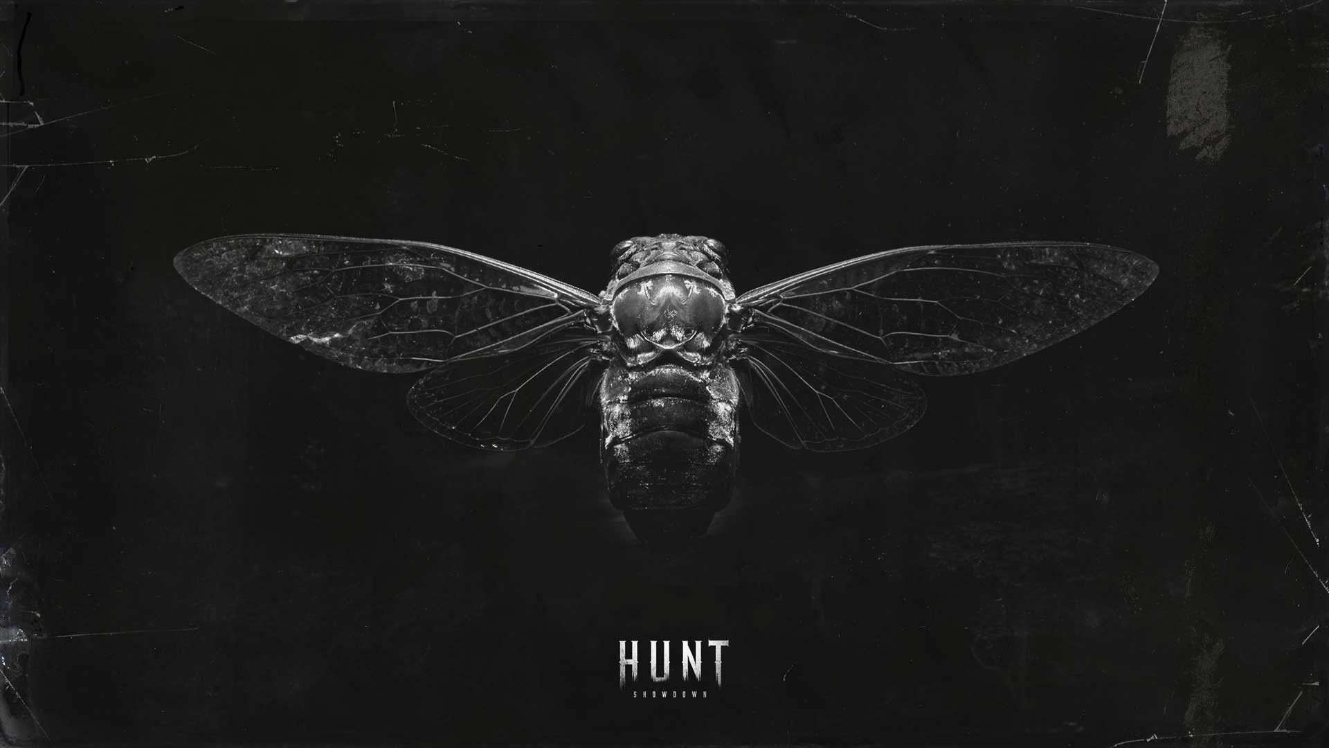 Hunt Showdown, video games, video game art, black, HD Wallpaper