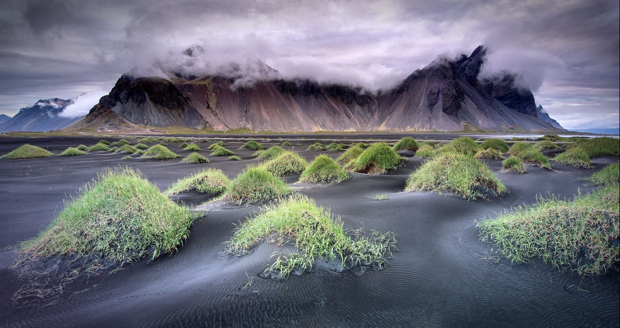 nature, plants, landscape, mountains, Iceland, HD Wallpaper