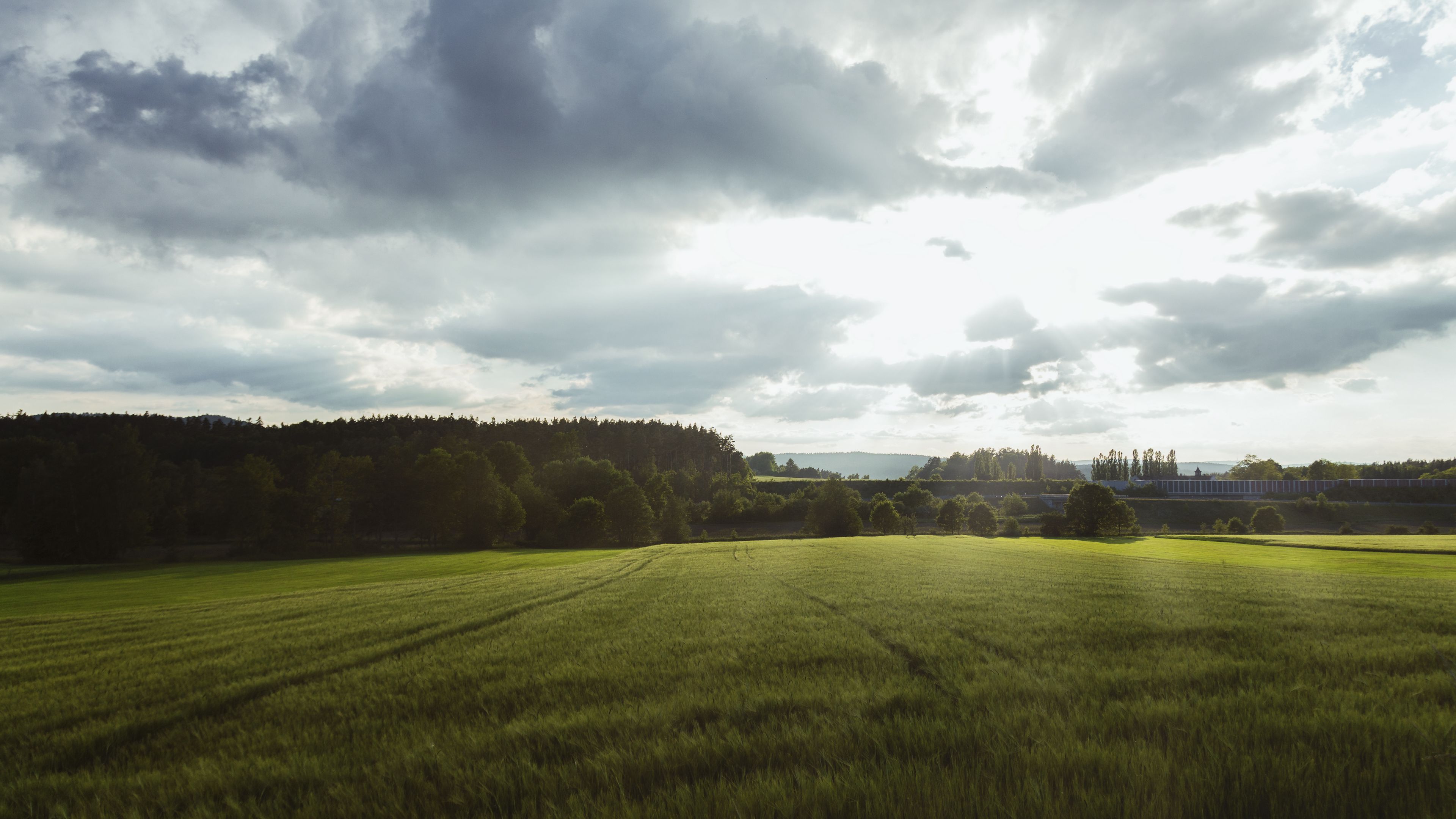 field, grass, horizon, clouds, trees, landscape, wolfsbach, bavaria, germany, 4k, HD Wallpaper