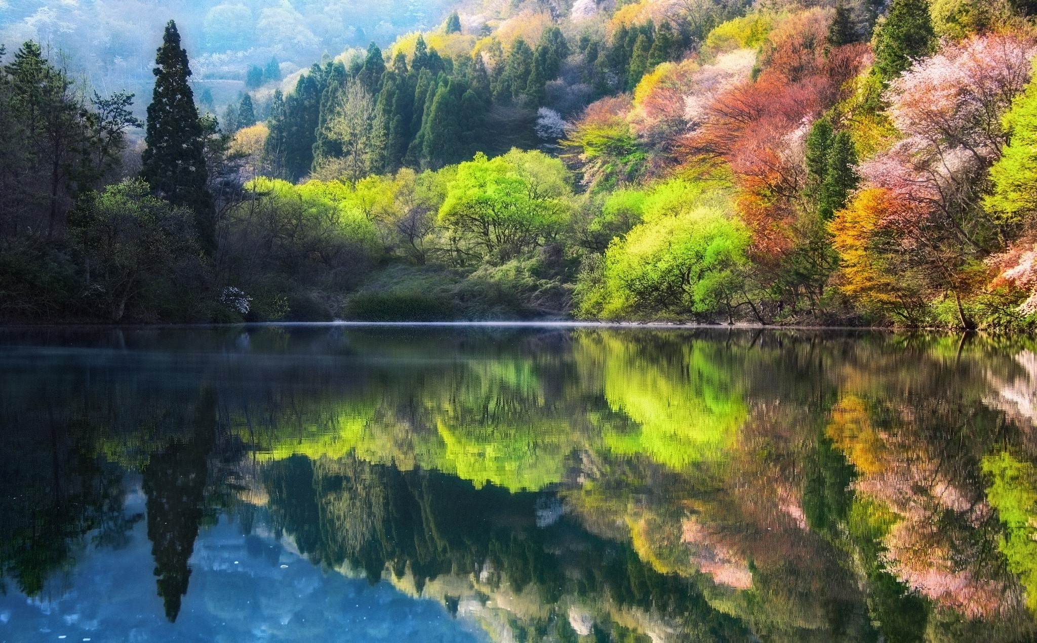 water, nature, reflection, trees, outdoors, HD Wallpaper