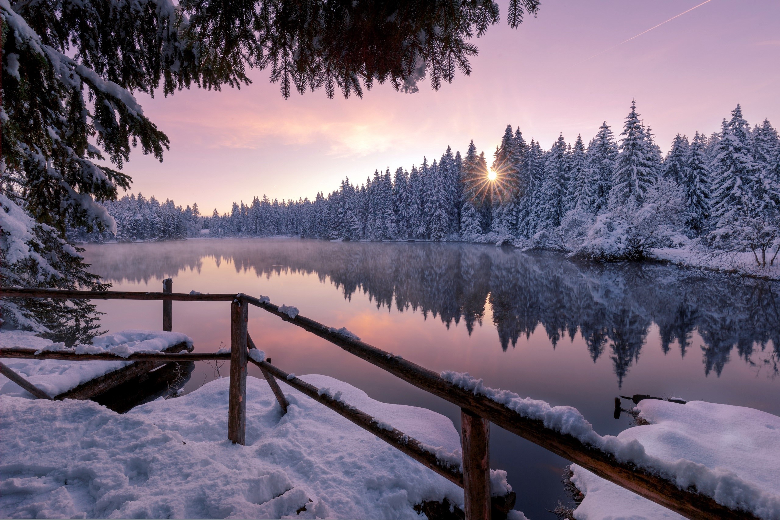 winter, snow, water, trees, nature, outdoors, lake, HD Wallpaper
