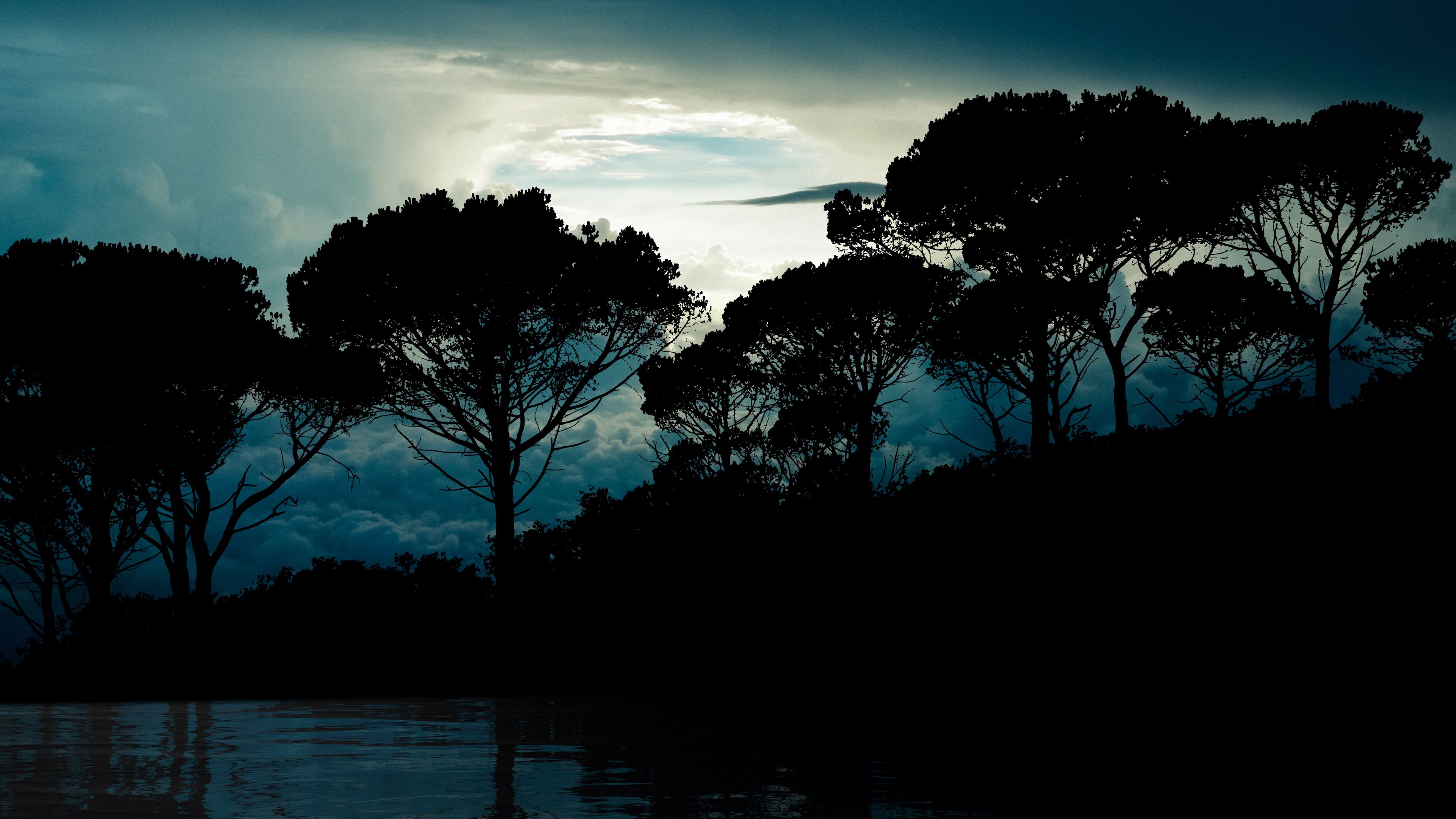 trees, clouds, night, reflection, landscape, 4k, HD Wallpaper