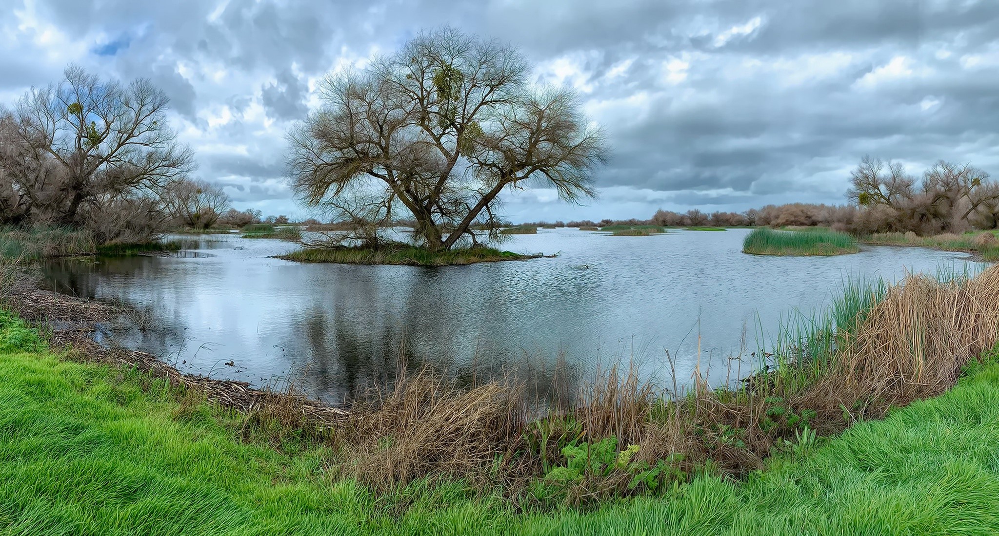 nature, lake, water, outdoors, HD Wallpaper