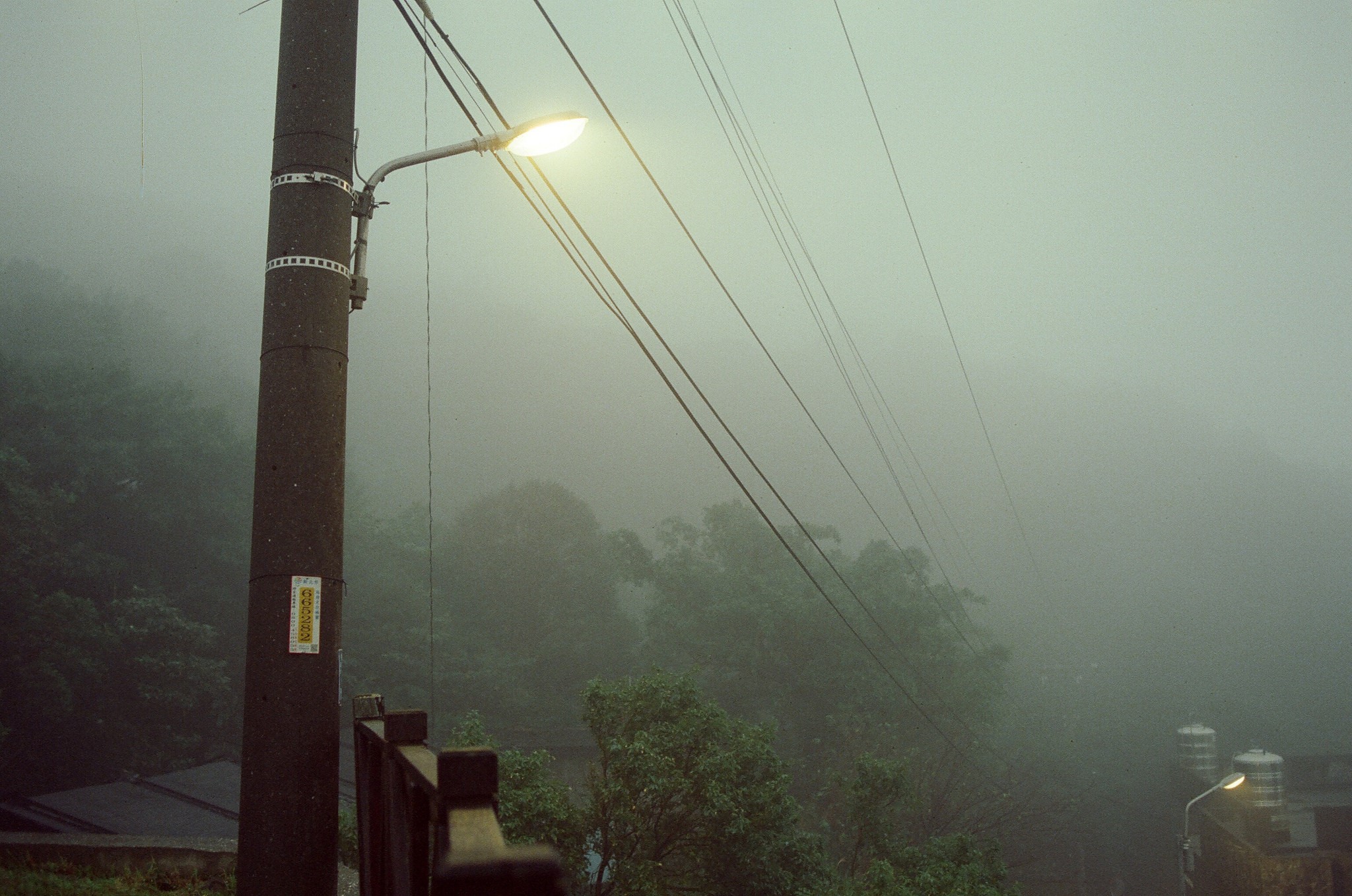 street light, night, mist, power lines, trees, HD Wallpaper