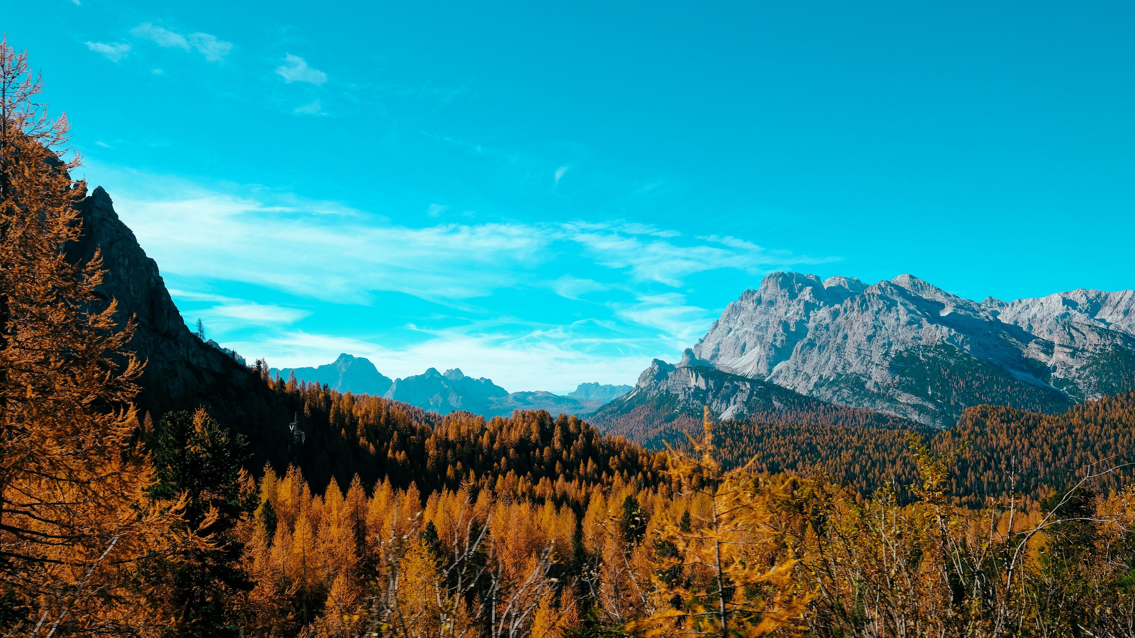 mountains, autumn, trees, sky, landscape, 4k, HD Wallpaper