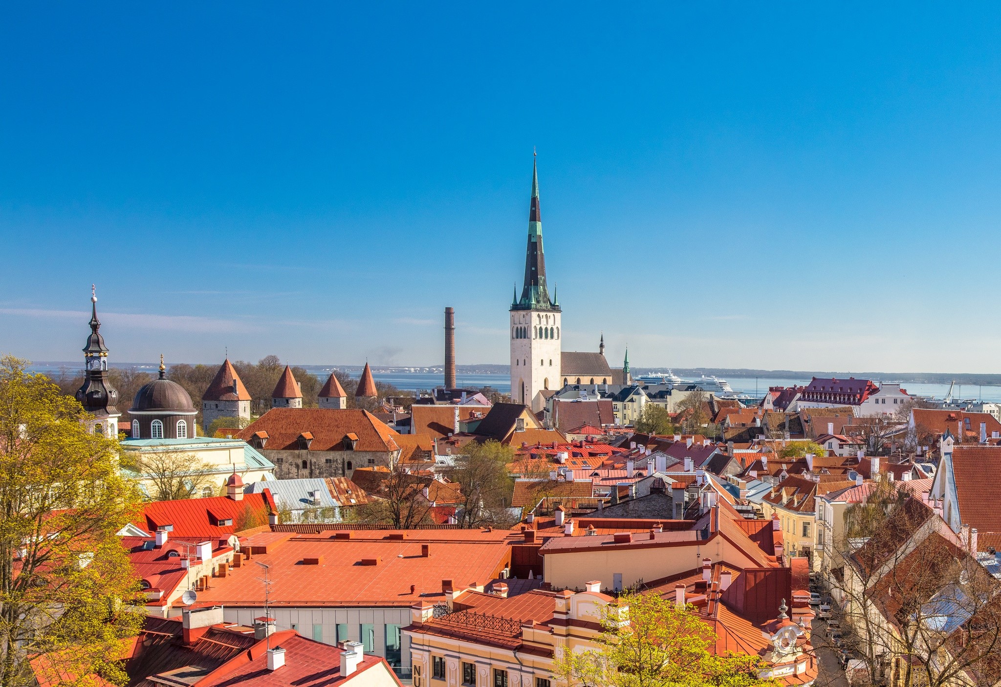 Tallin, city, rooftops, cityscape, HD Wallpaper