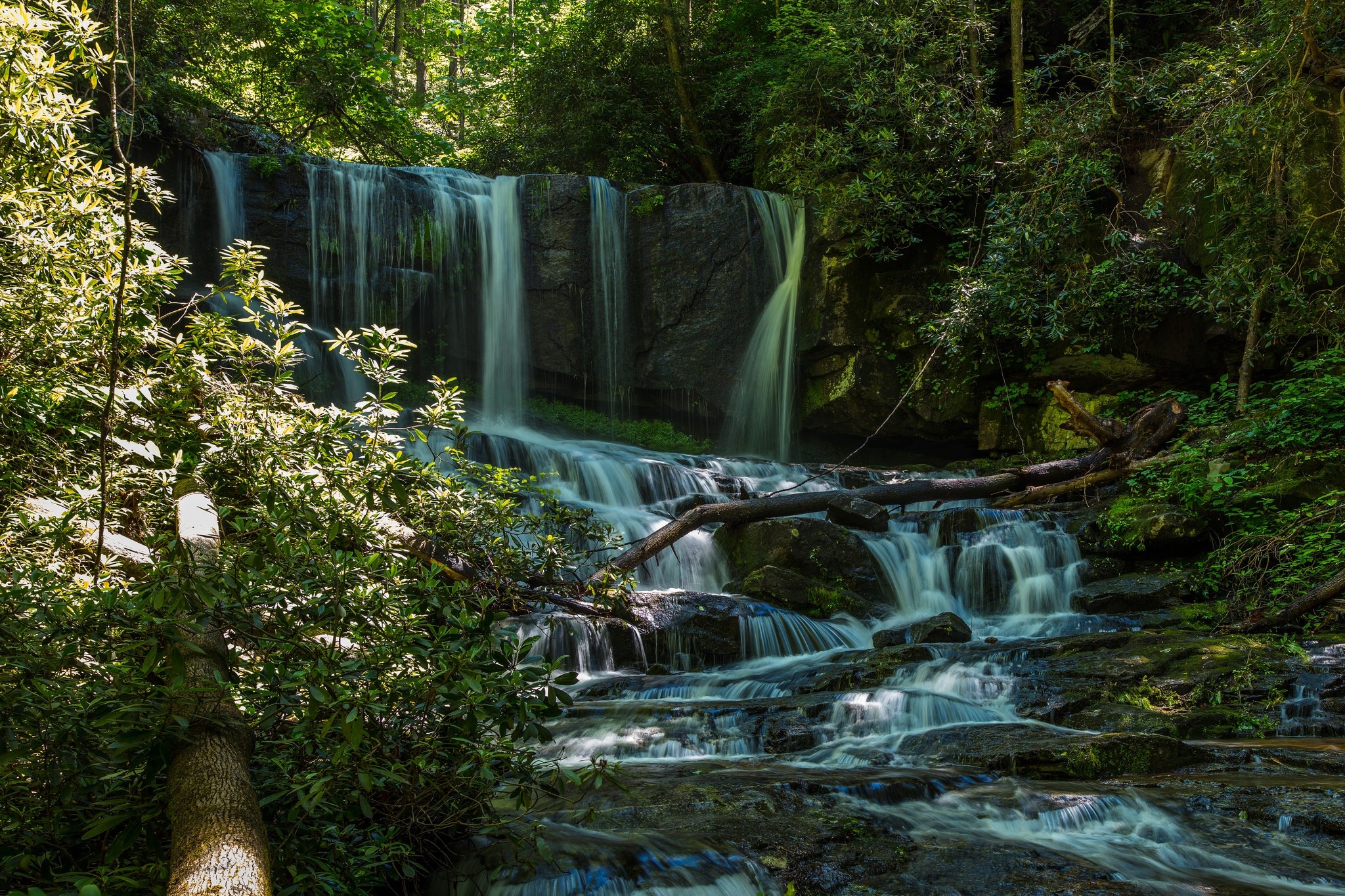 water, waterfall, nature, plants, river, HD Wallpaper
