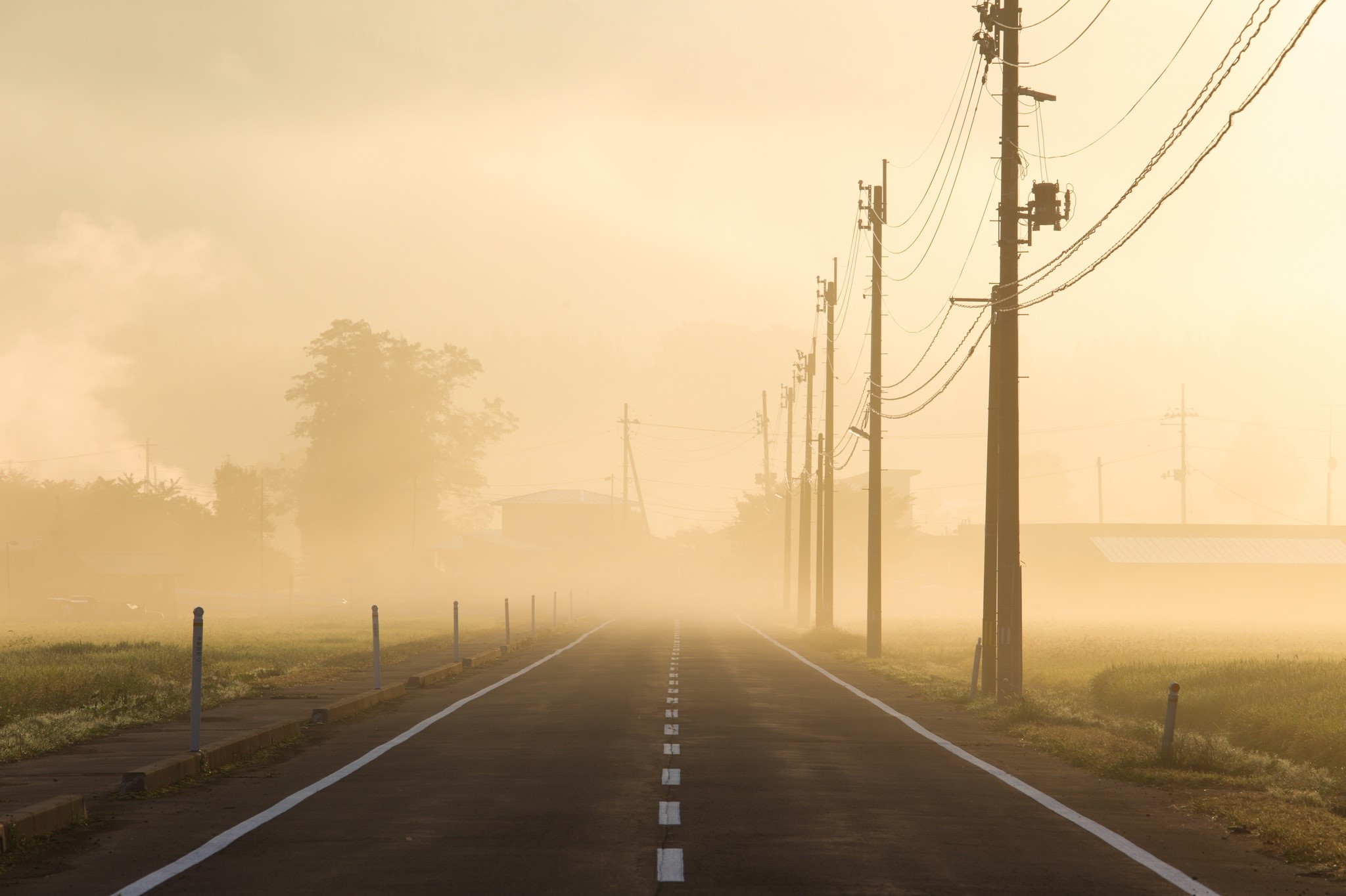 road, asphalt, power lines, mist, empty, morning, HD Wallpaper