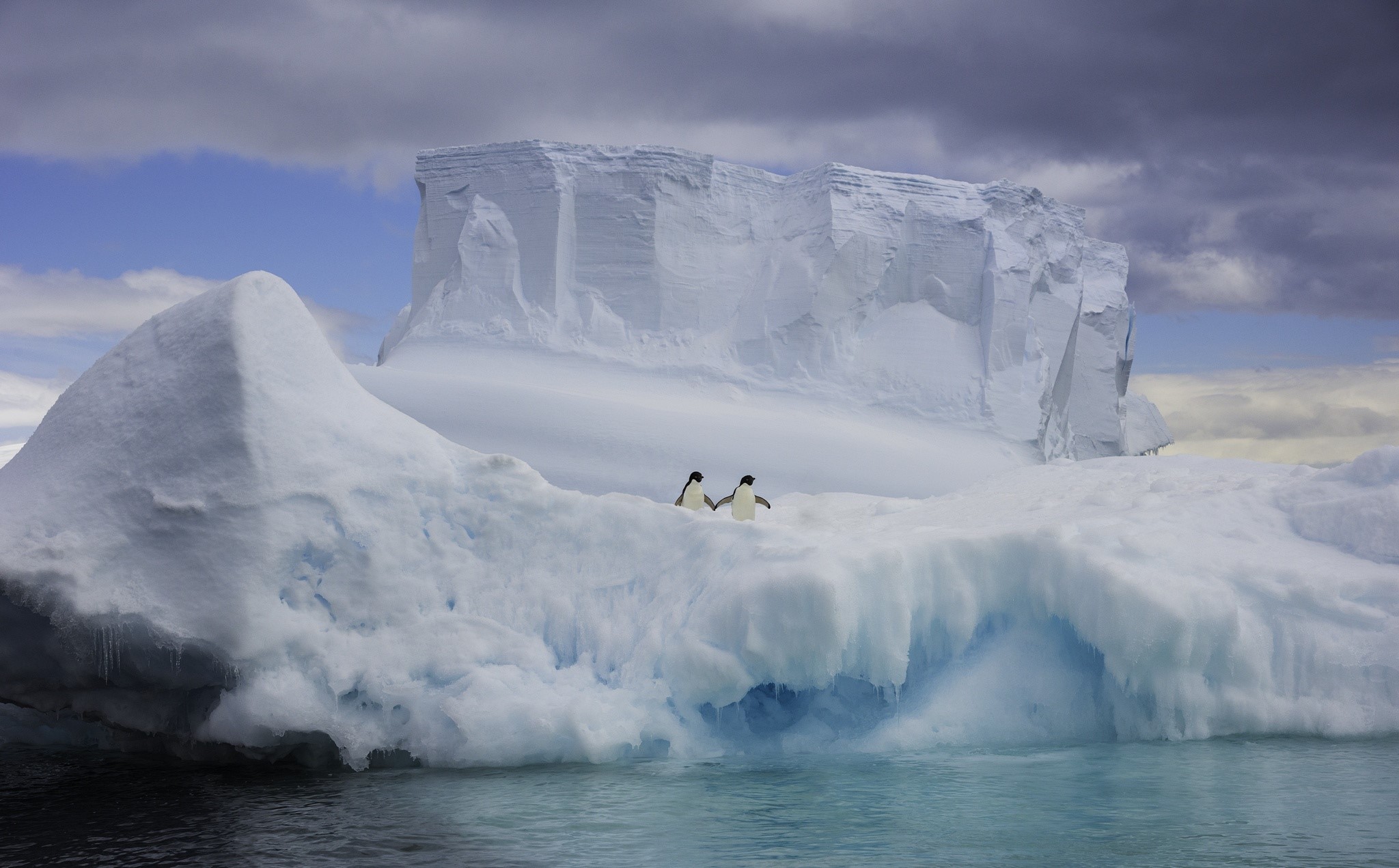 iceberg, Arctic, animals, penguins, water, nature, holding hands, HD Wallpaper