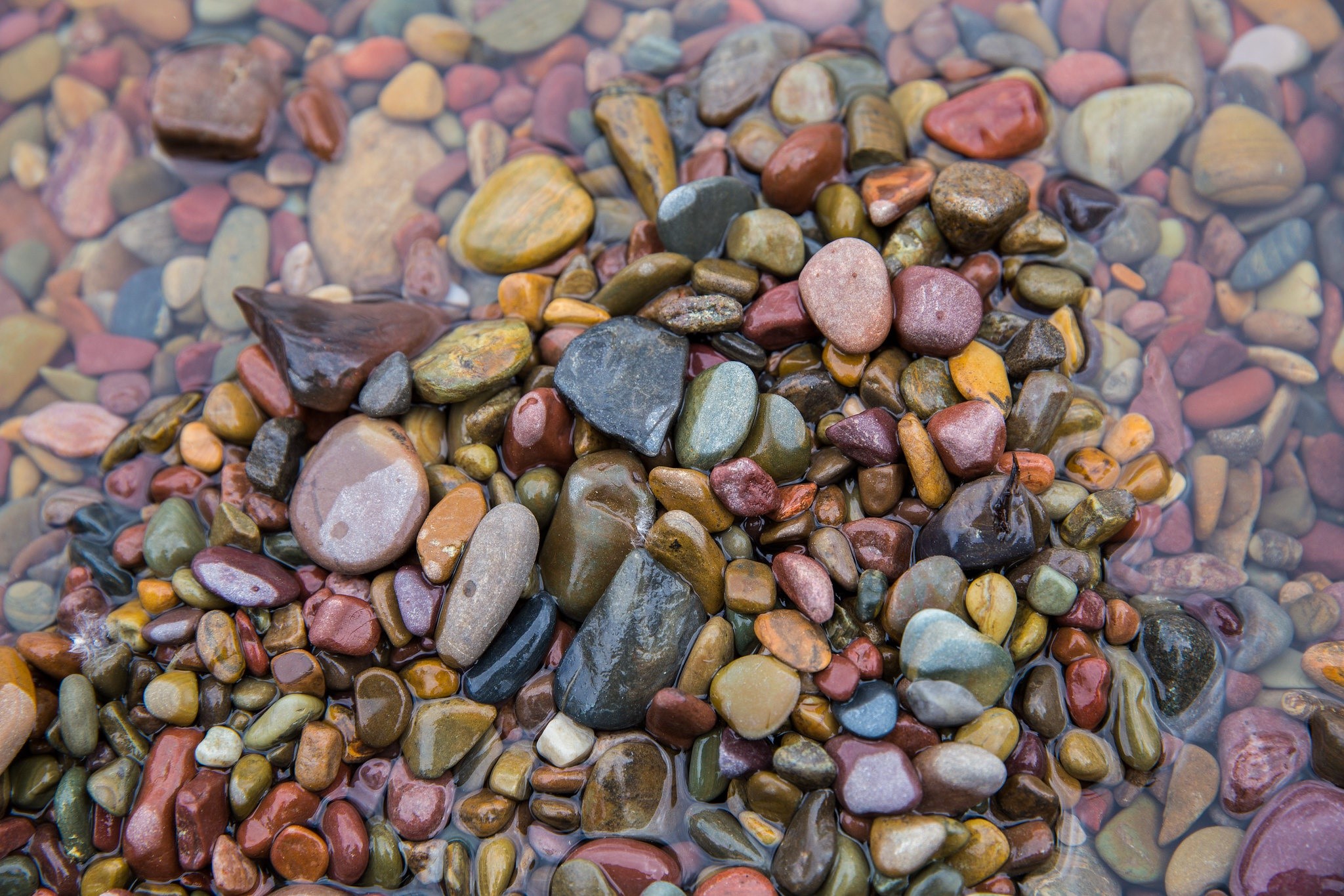water, outdoors, stones, colorful, wet, HD Wallpaper