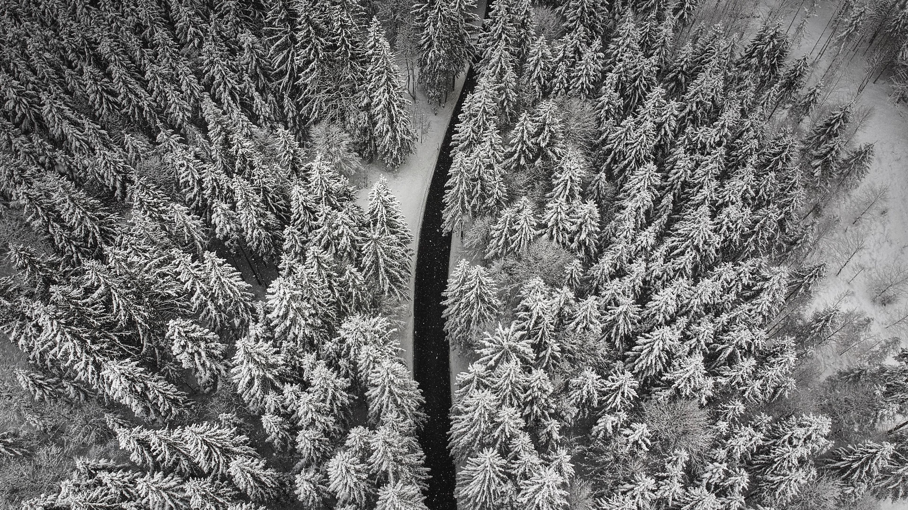winter, trees, aerial view, snow, road, 4k, HD Wallpaper