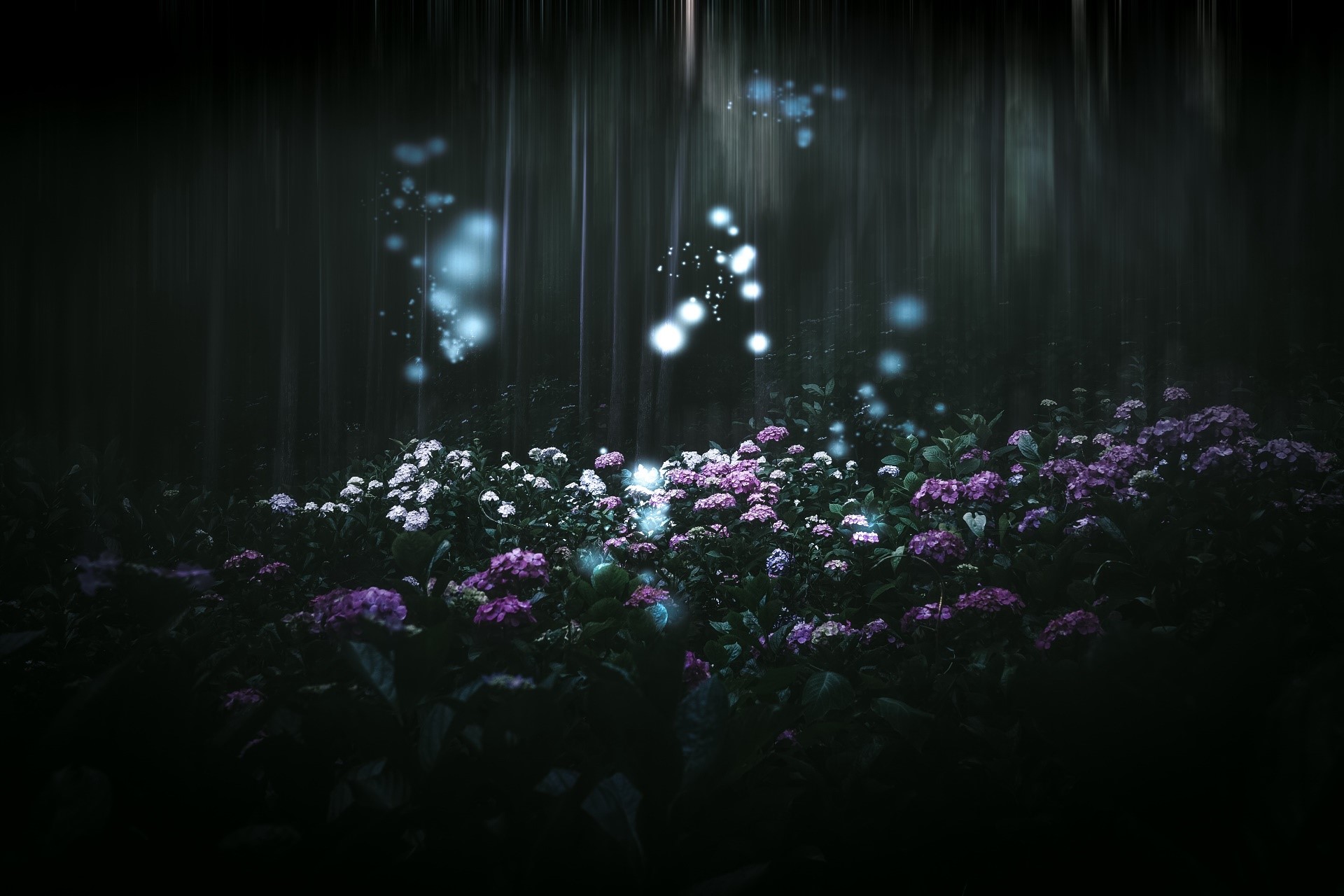 nature, flowers, plants, HD Wallpaper