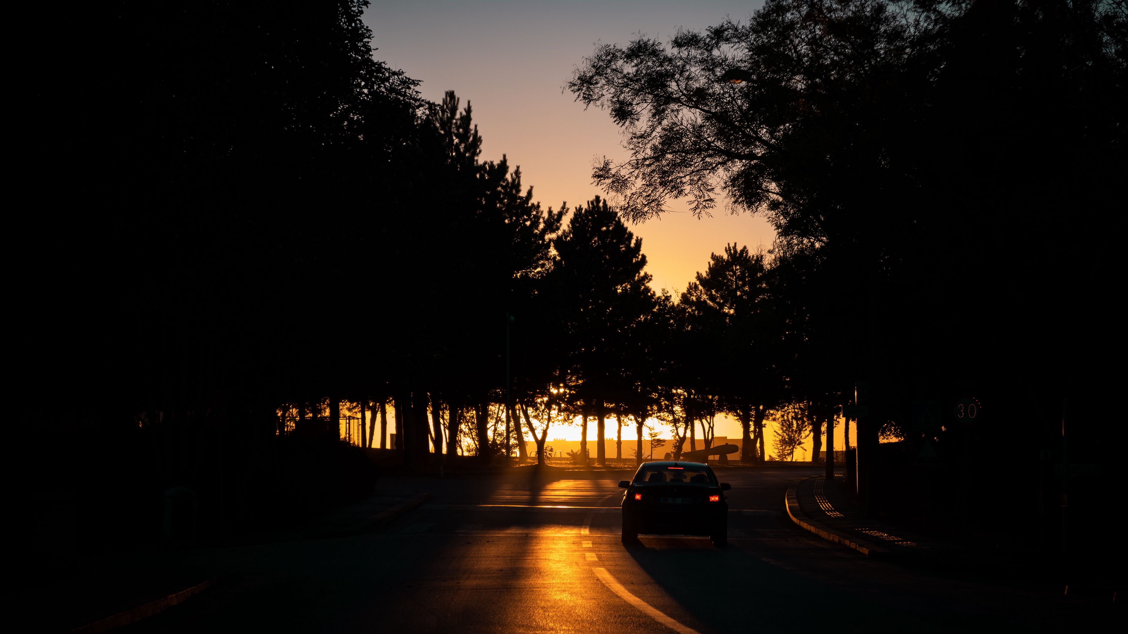 car, night, road, trees, shadow, 4k, HD Wallpaper